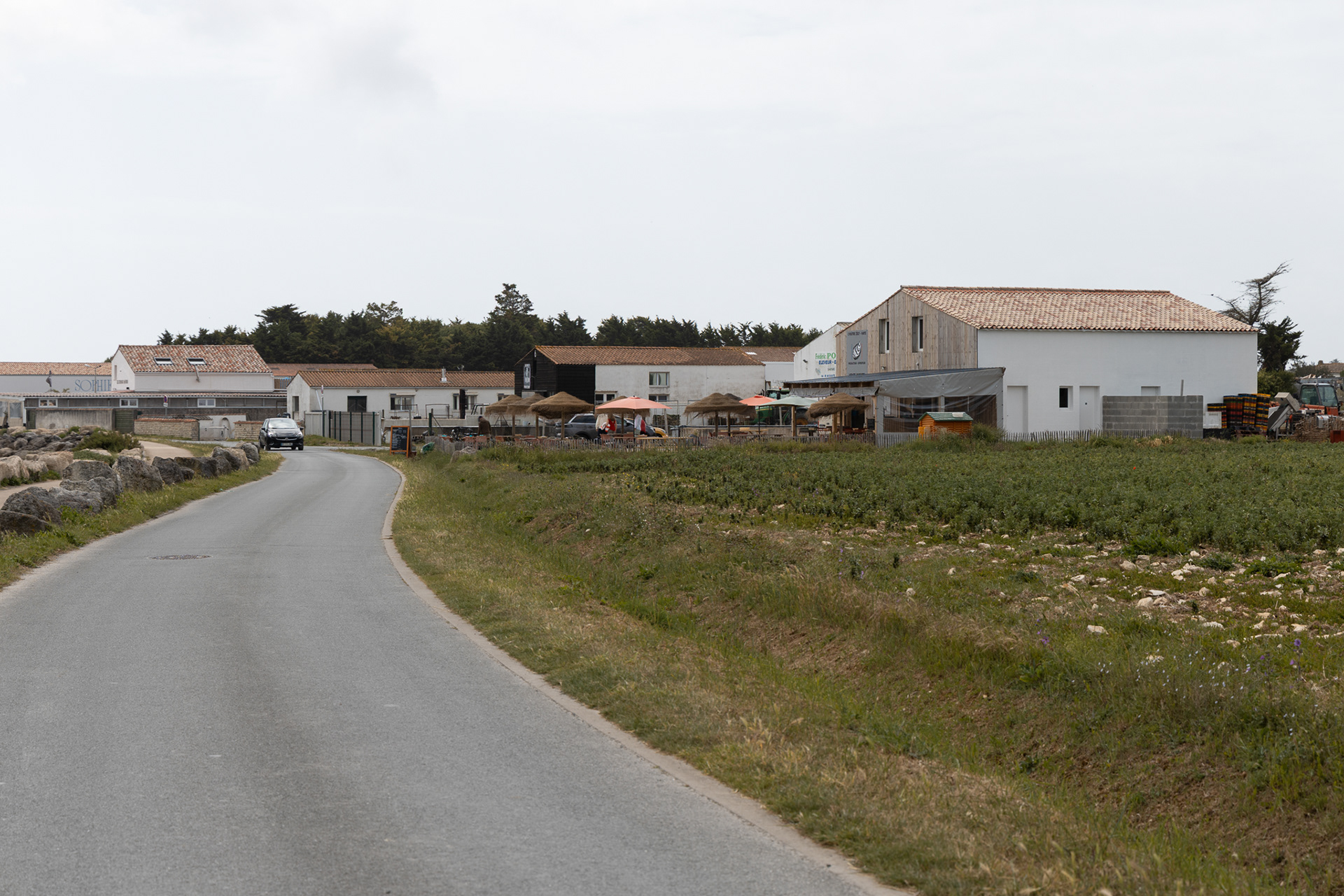 Strolling to LA Flotte