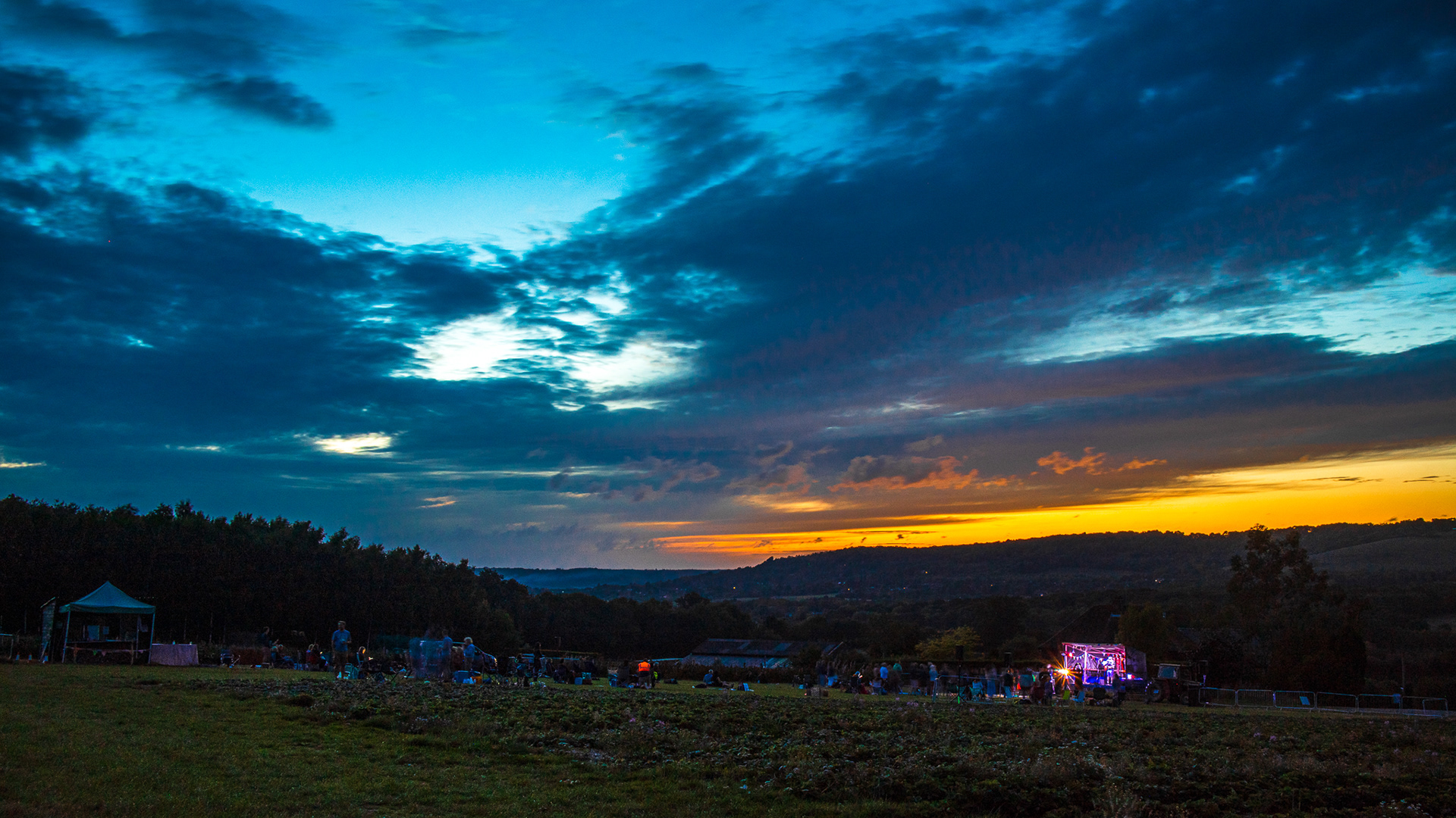 Folking in the Strawberries Sunset