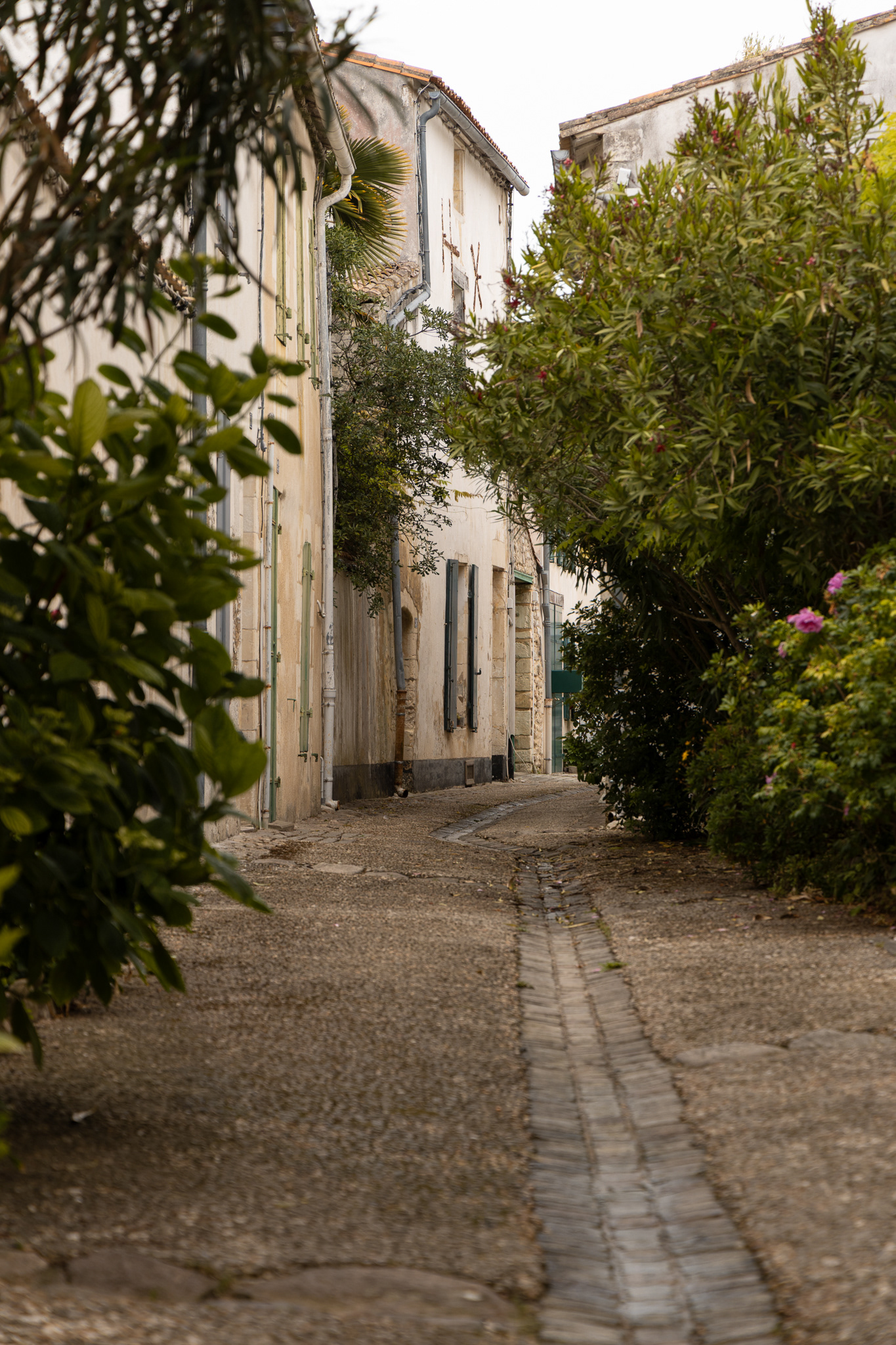 Saint Martin de Re