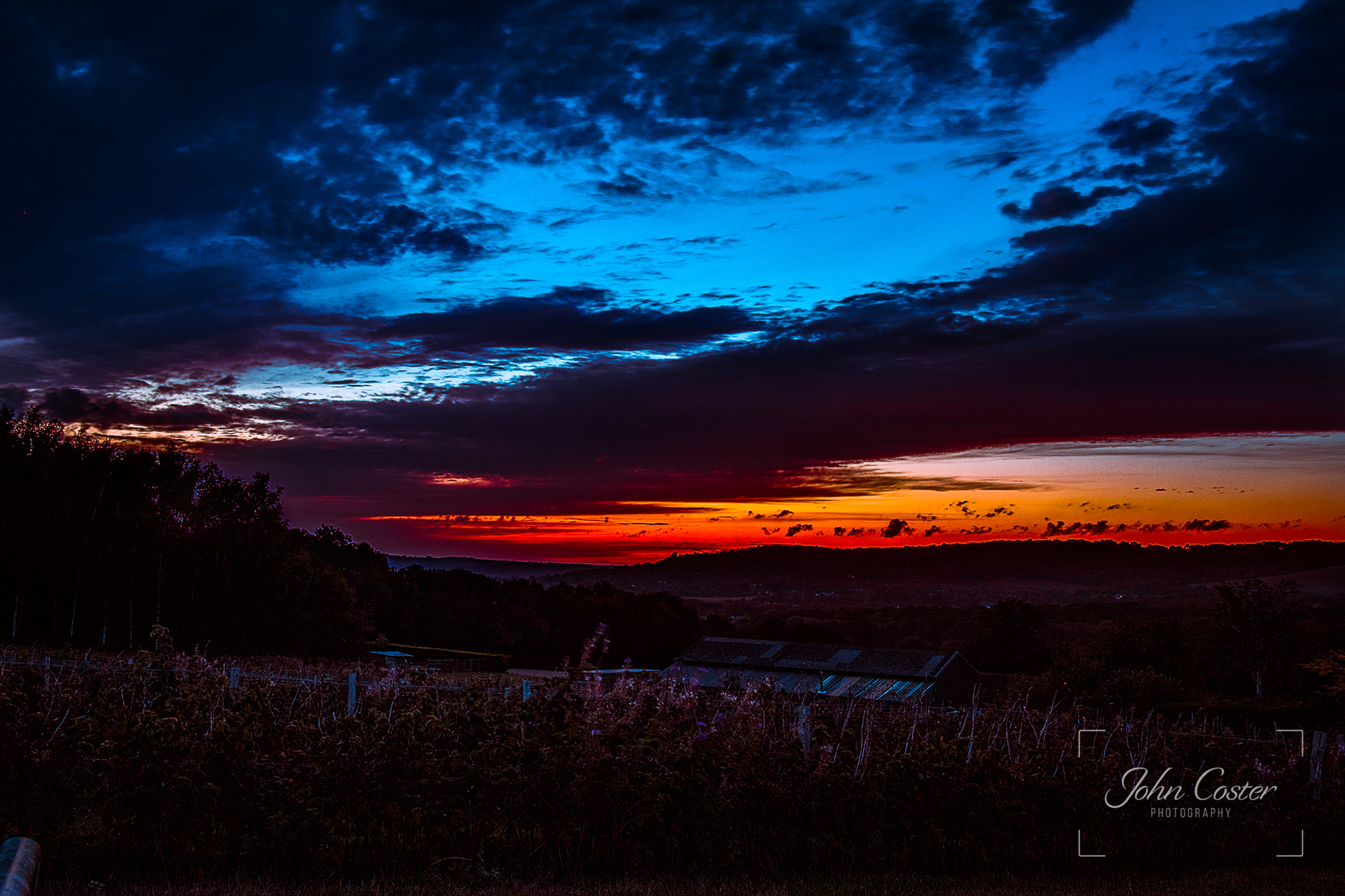 Strawberry Field Sunset