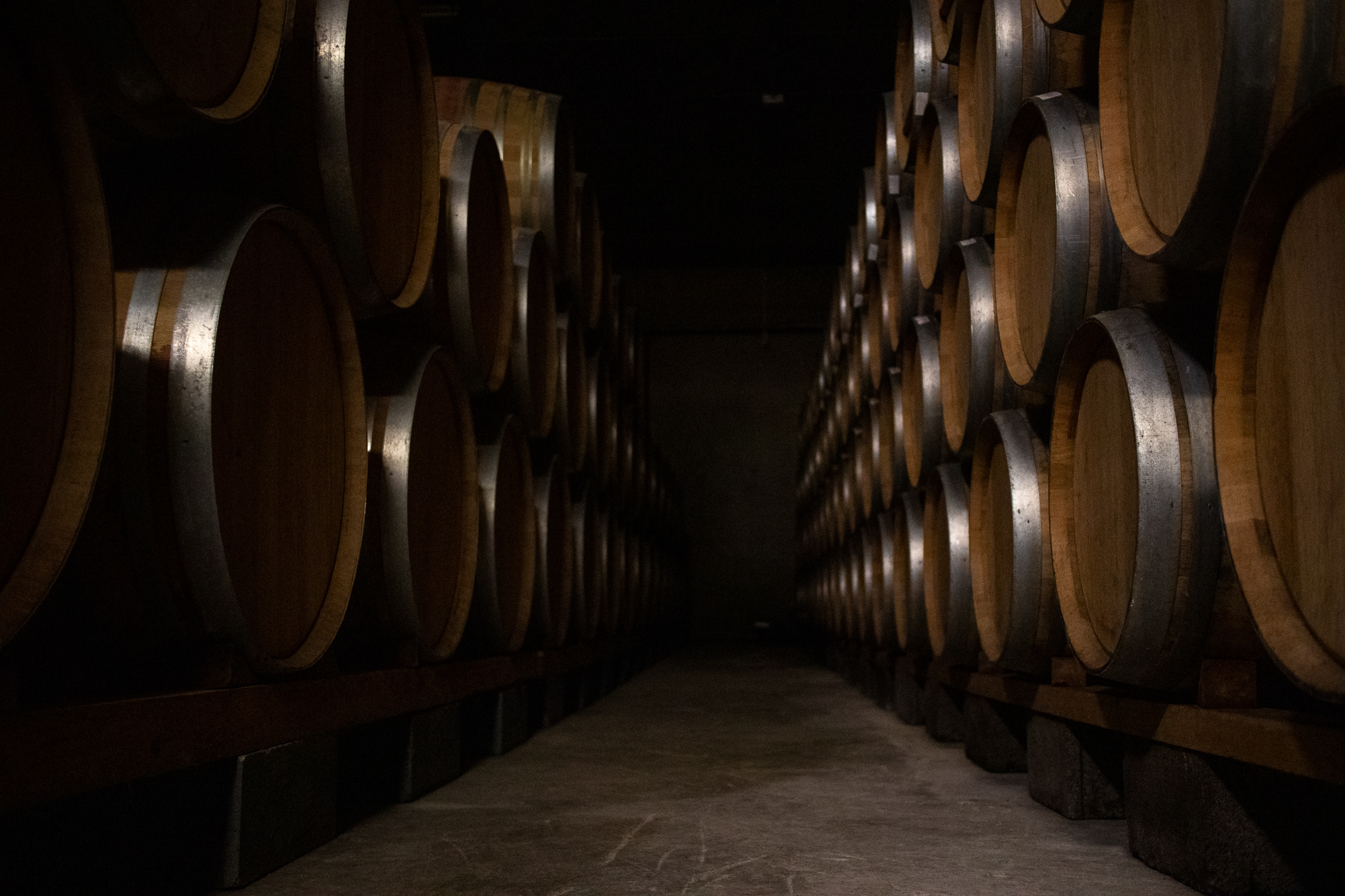 A tour of the cellars of Fattoria Del Cerro