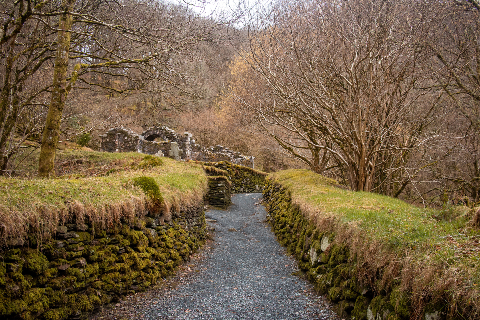 Path leading to Reefert Church and St Kevin's Cell