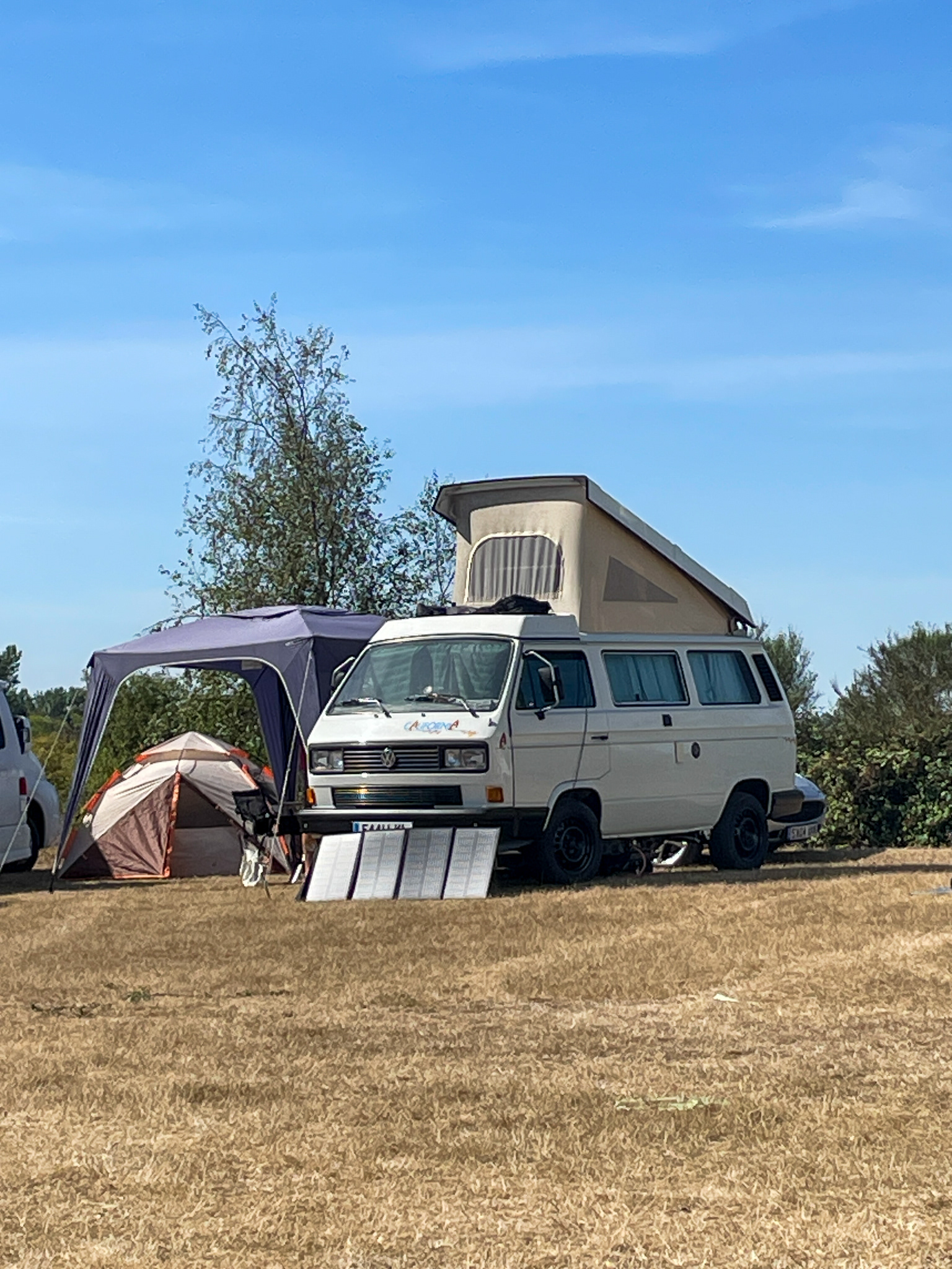 Tidy T25