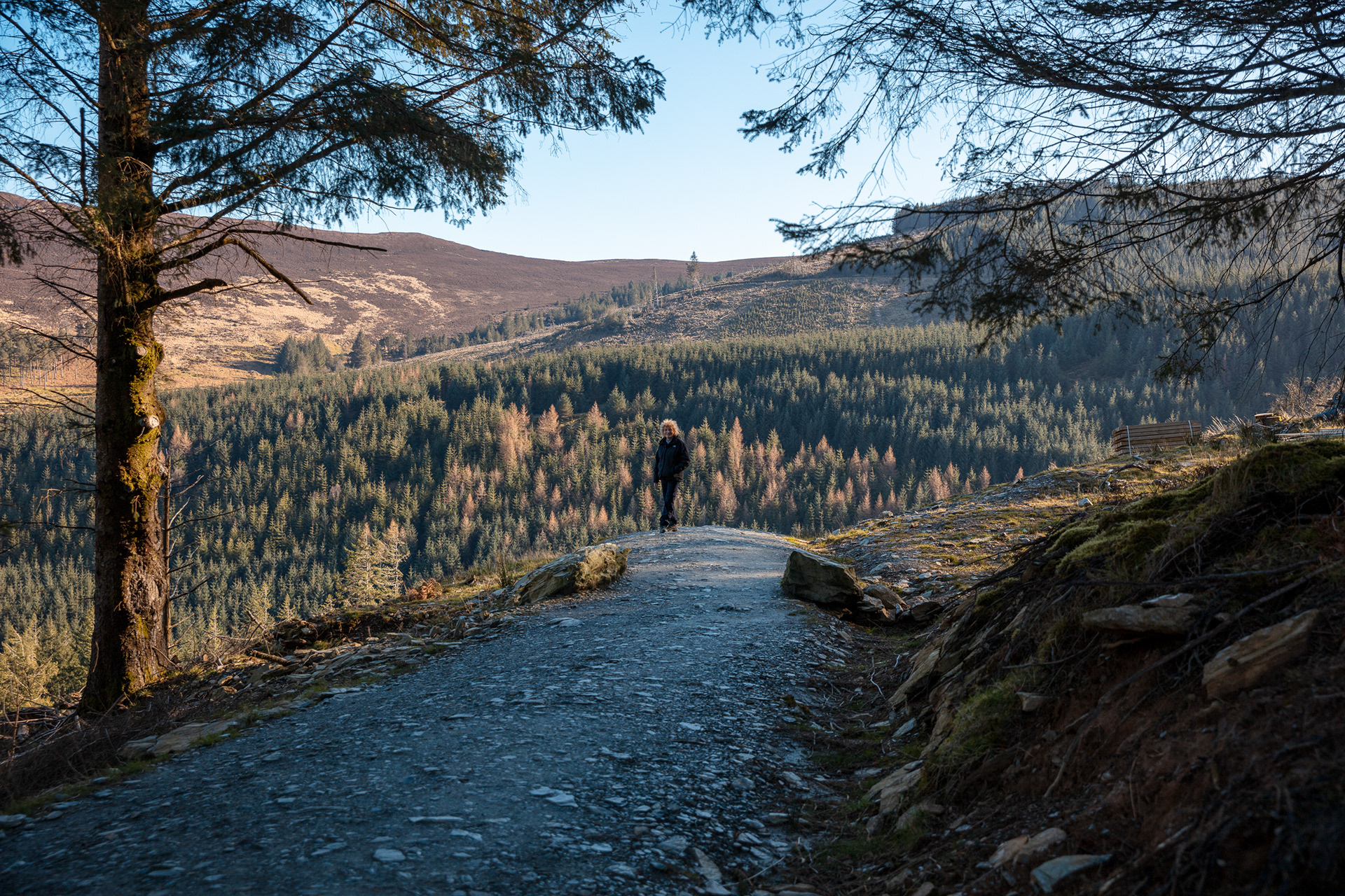 Spinc Path