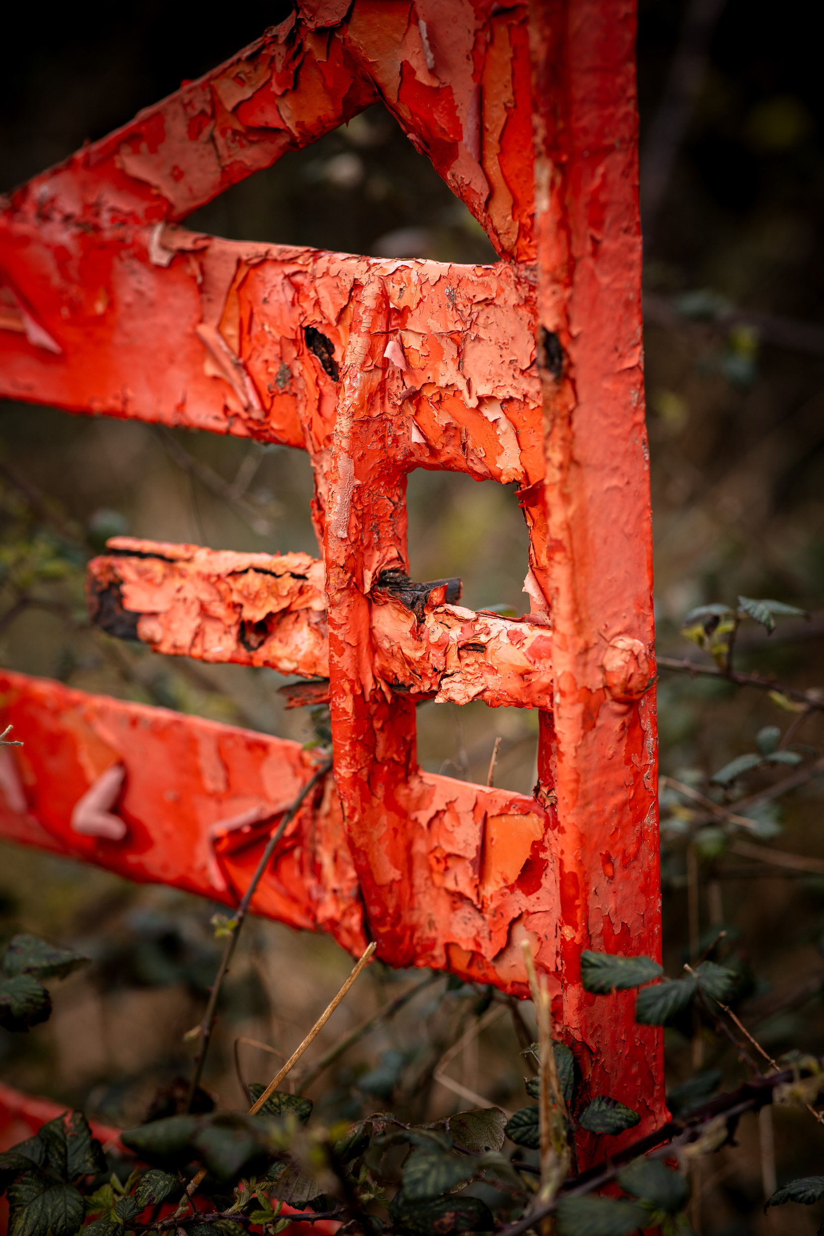 Decay