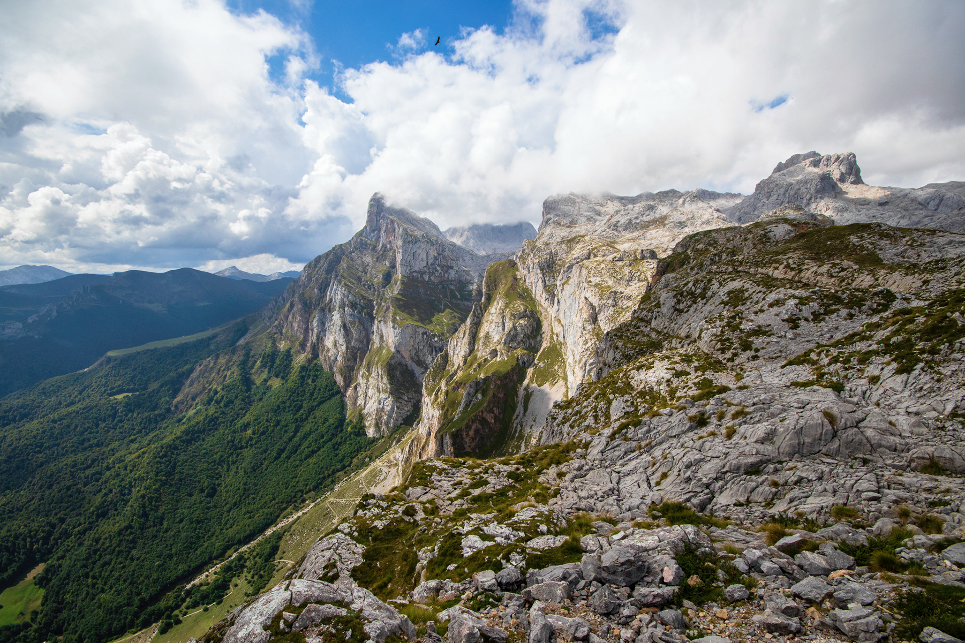 Up in the Picos De Europa