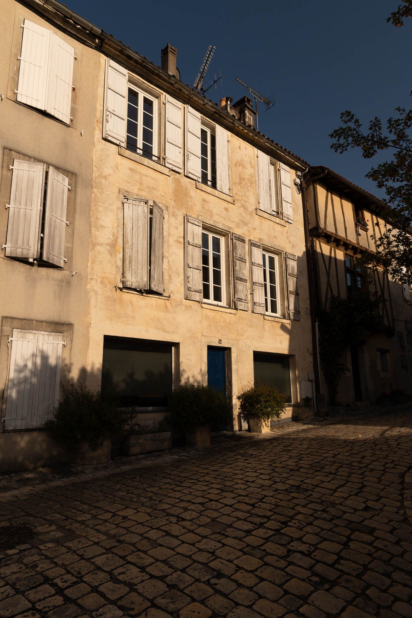 Cognac