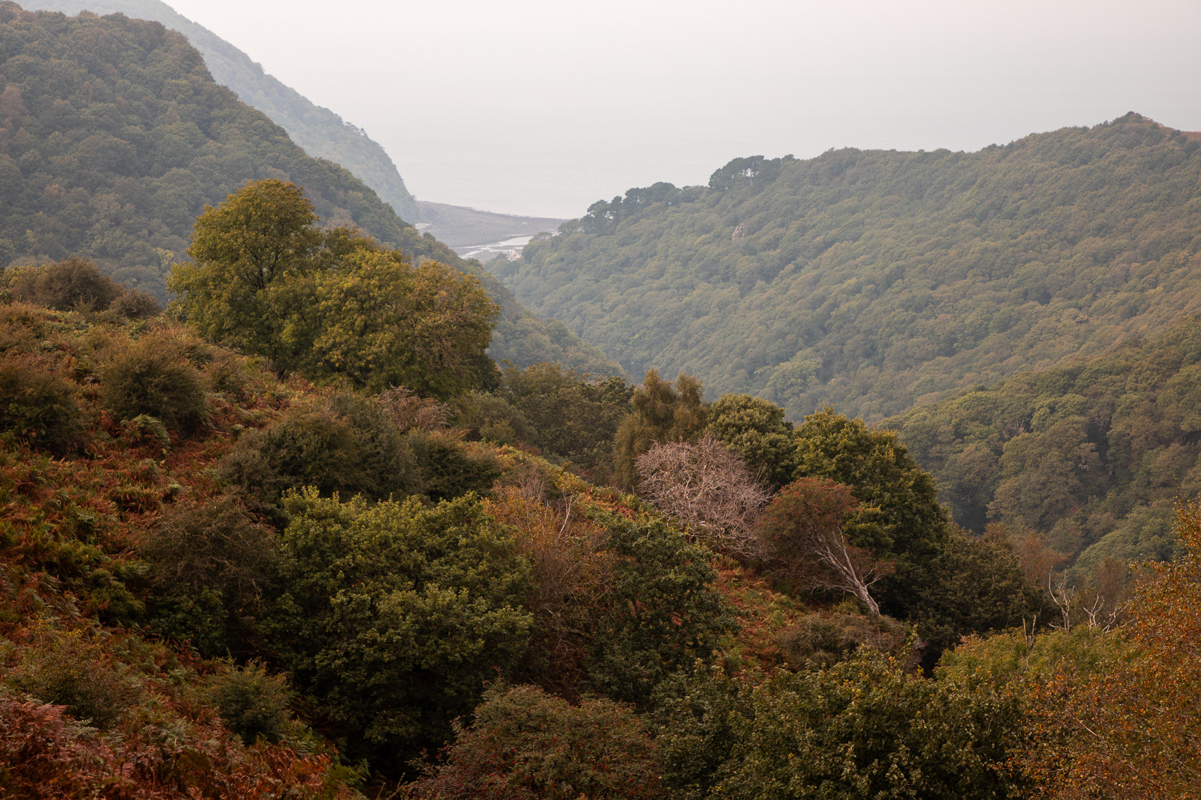 Looking down to Lynmouth from the Tarka Trail
