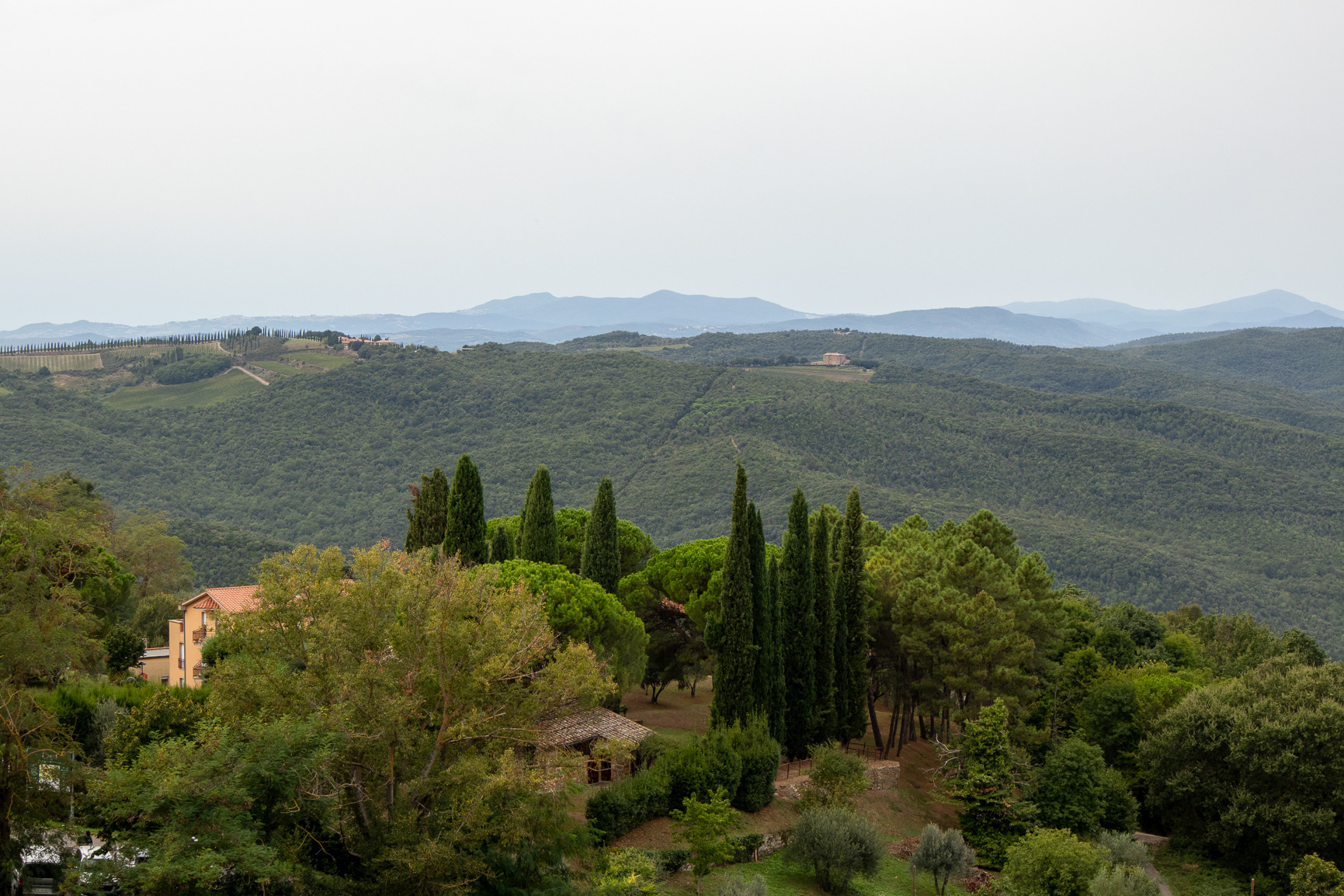 Montalcino