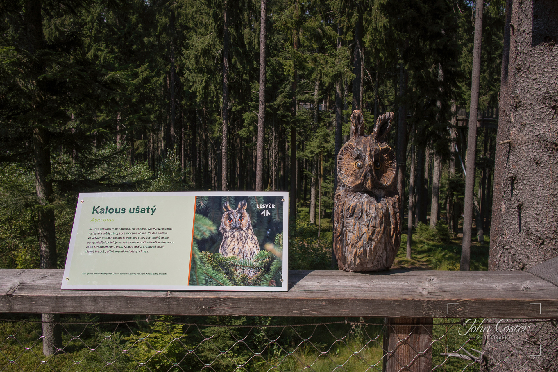 Lipno Tree Top Trail