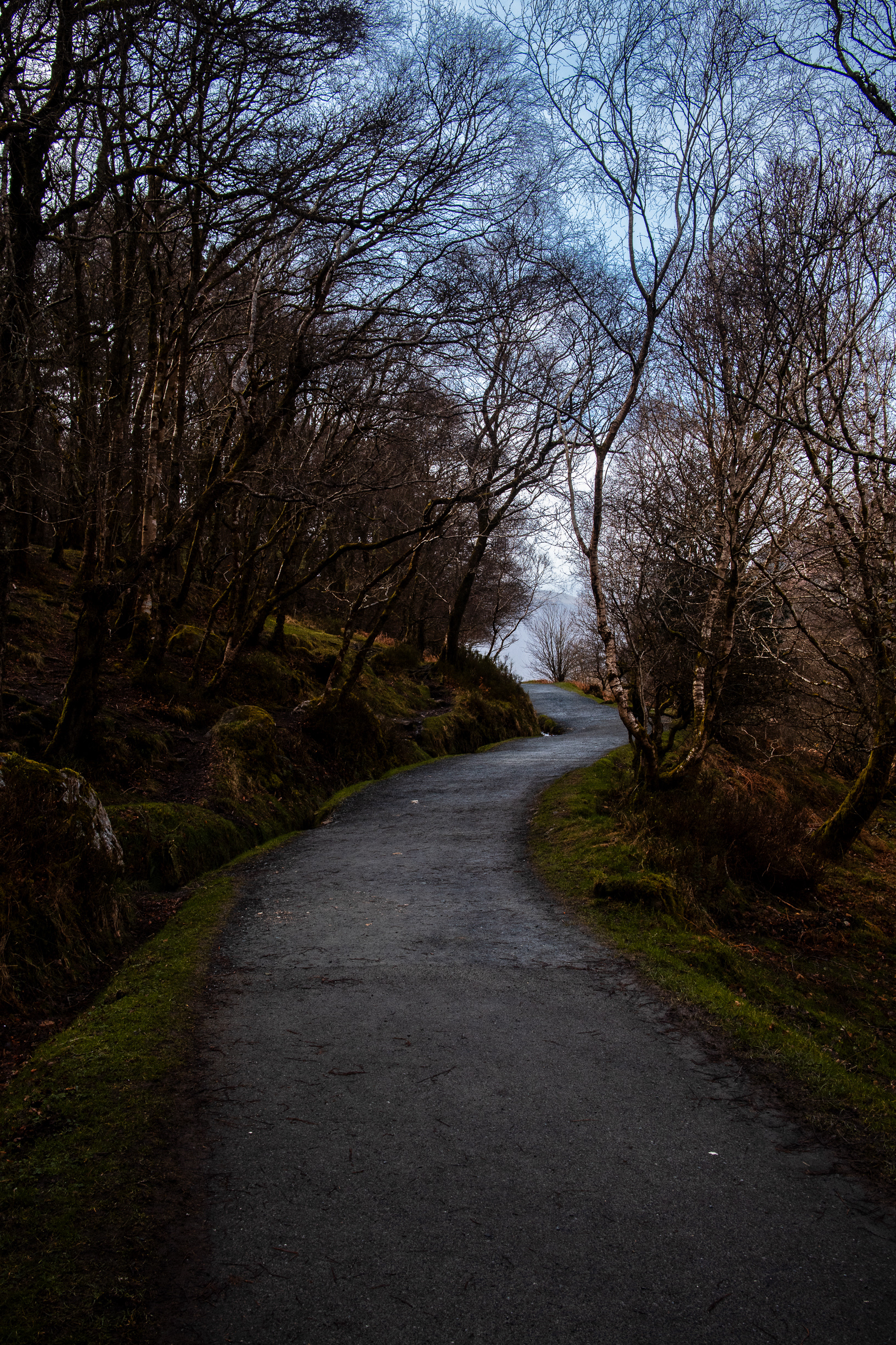 And some local walking