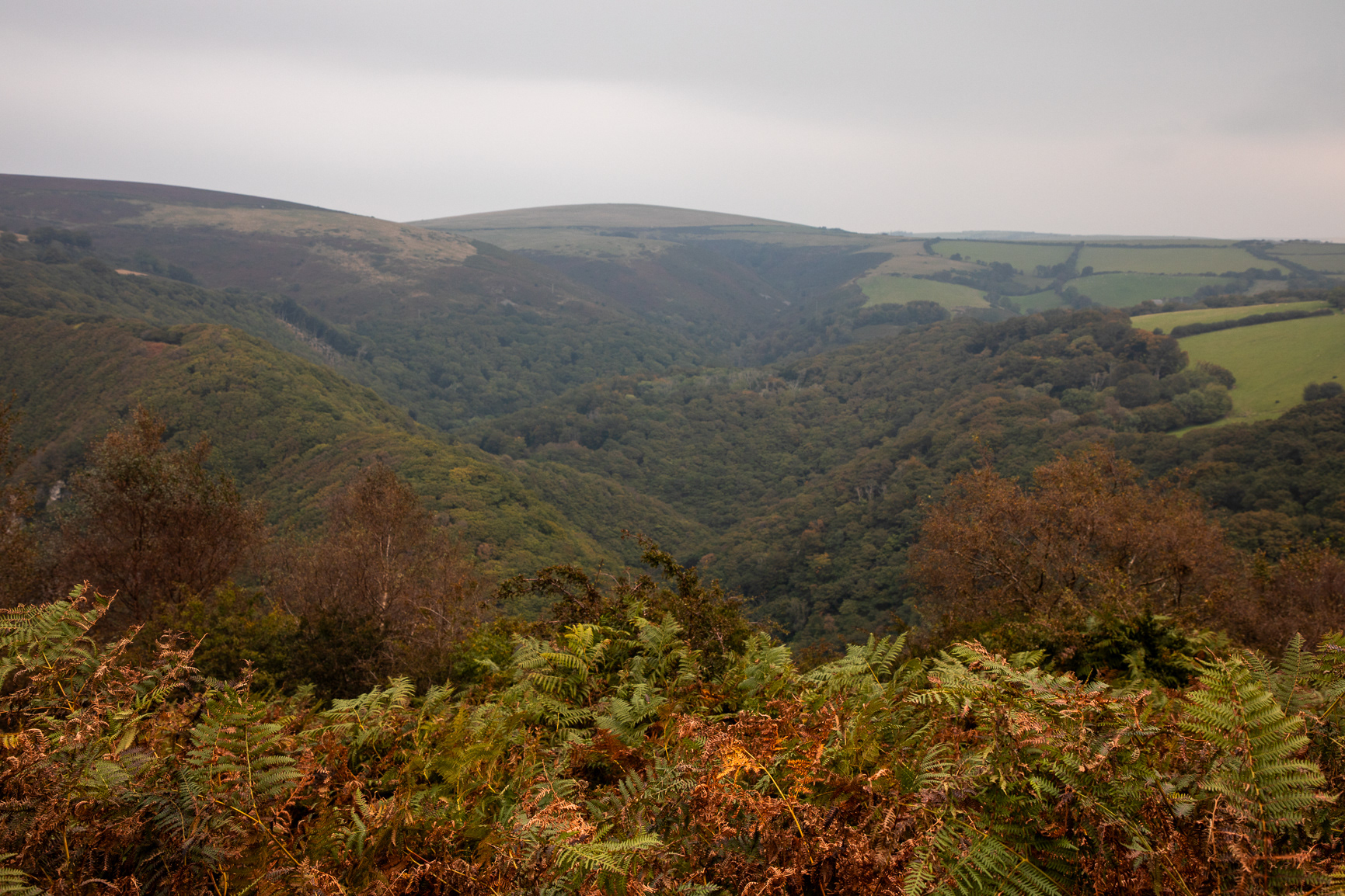 Views from the Tarka Trail