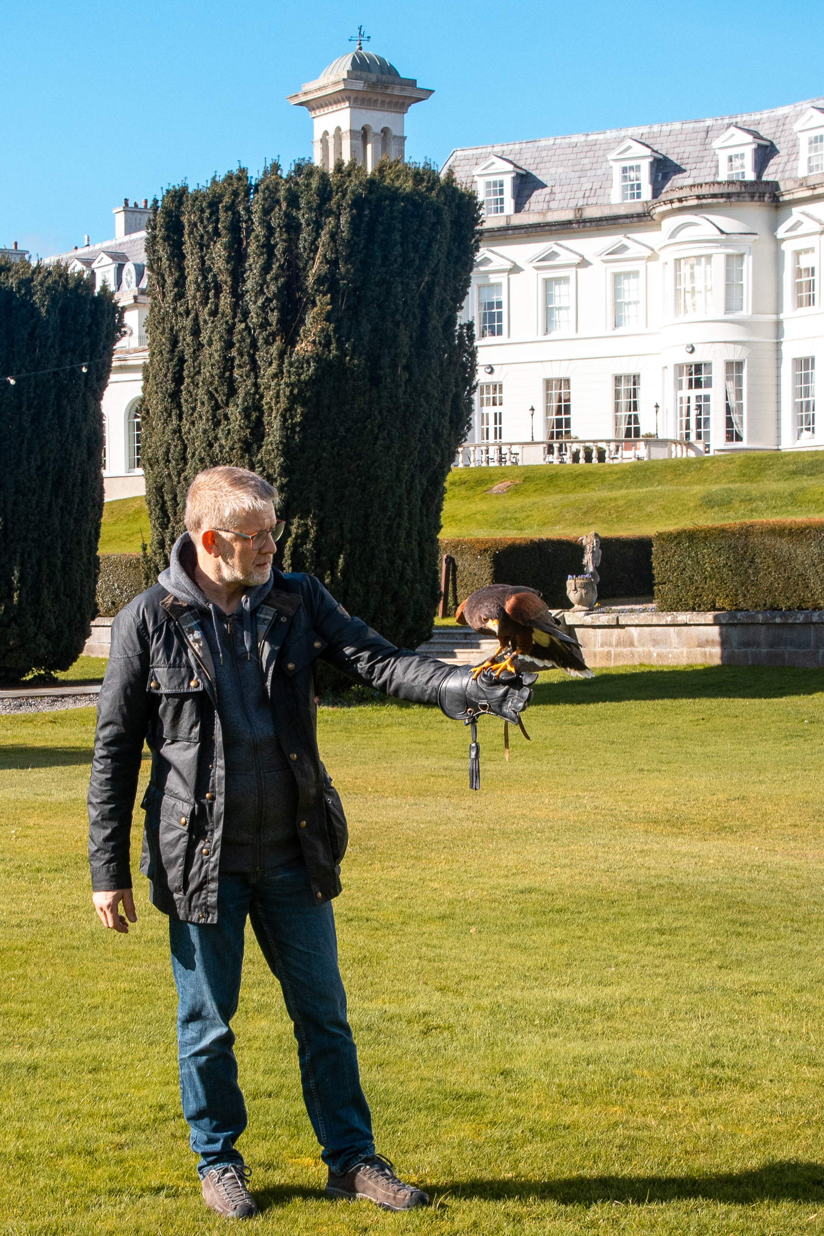 Landing this hawk was a great moment,  heavier than I expected too!! 