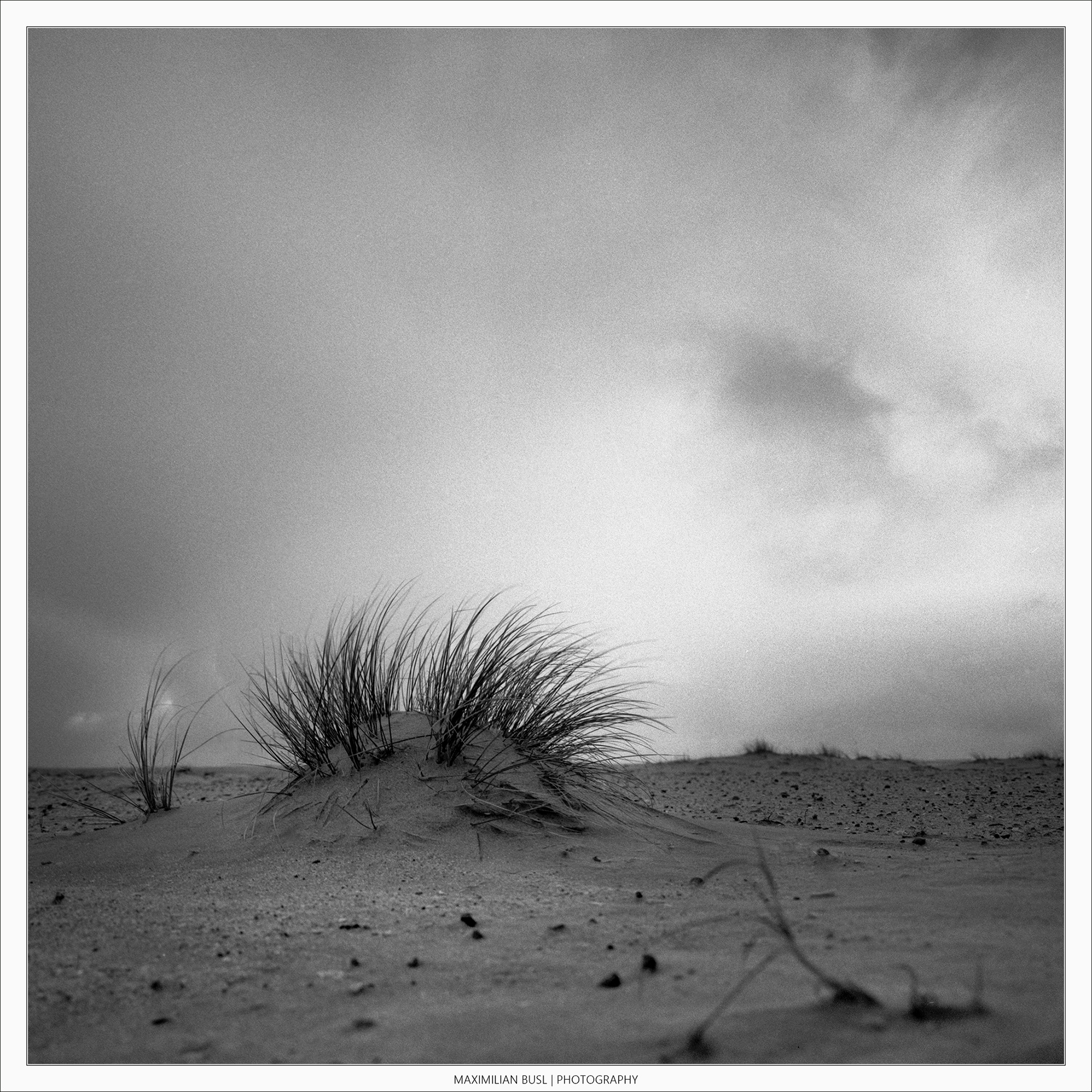 Strandlandschaft