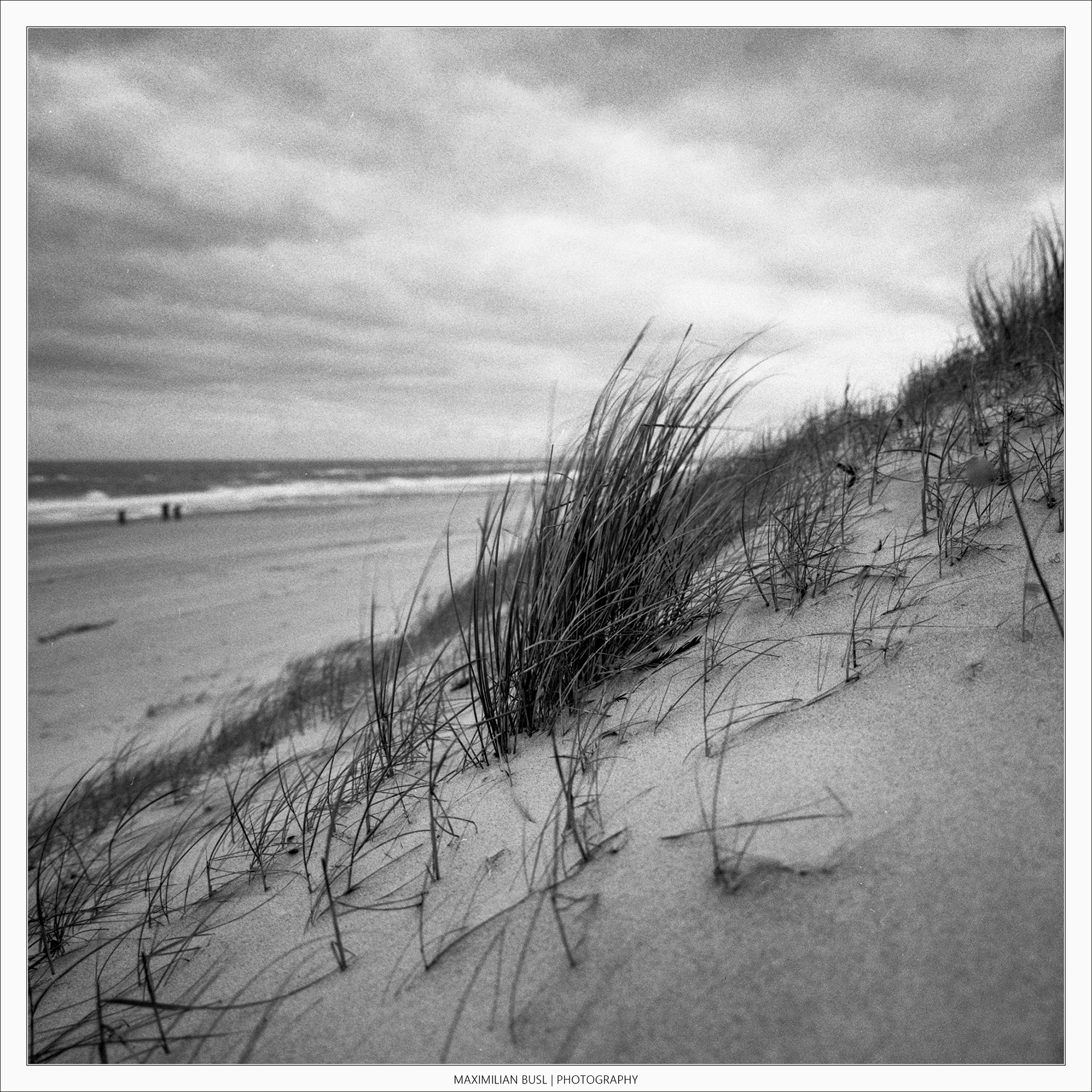 Strand und Dünen