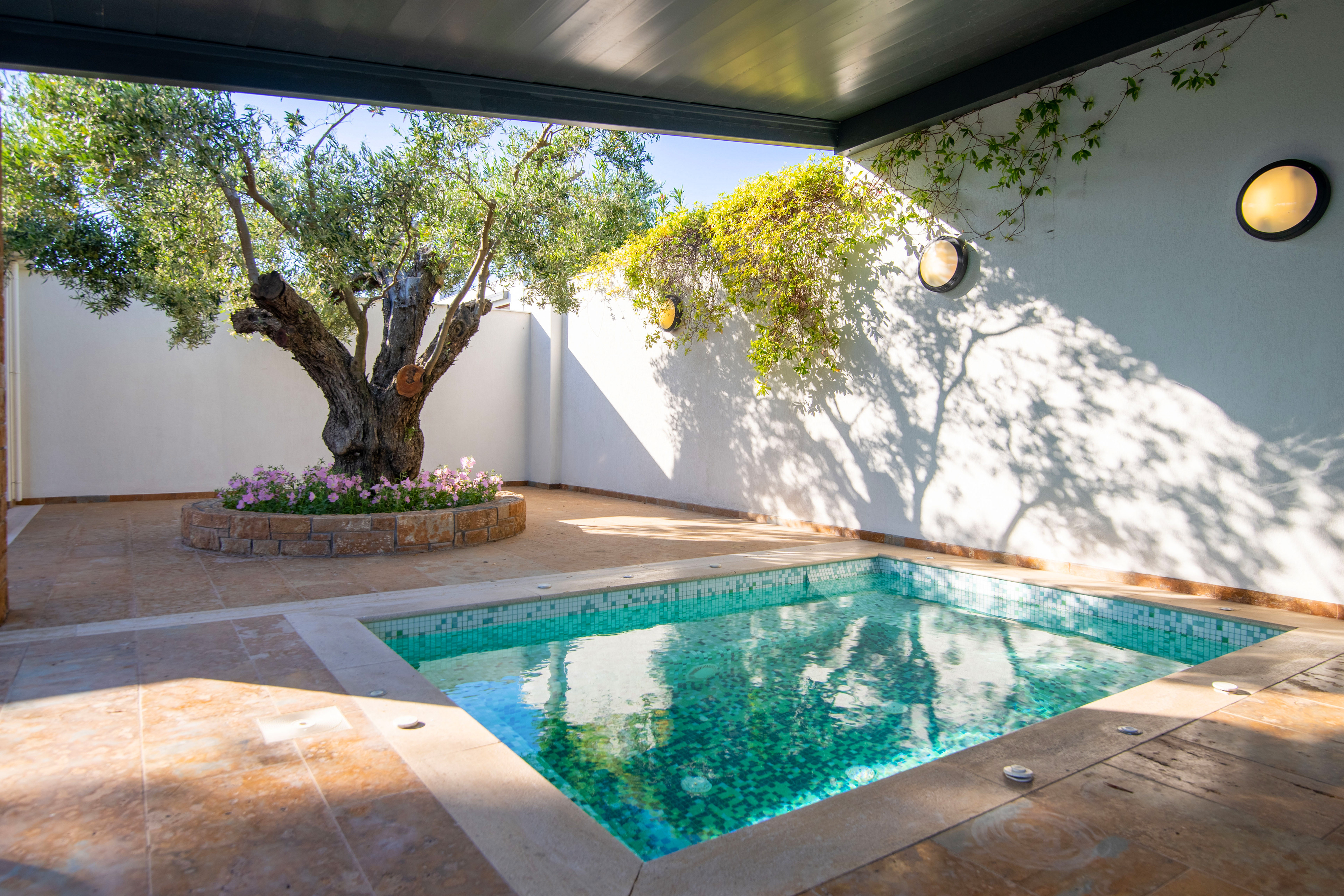 Exterior shots of olive hills, Chalkidiki