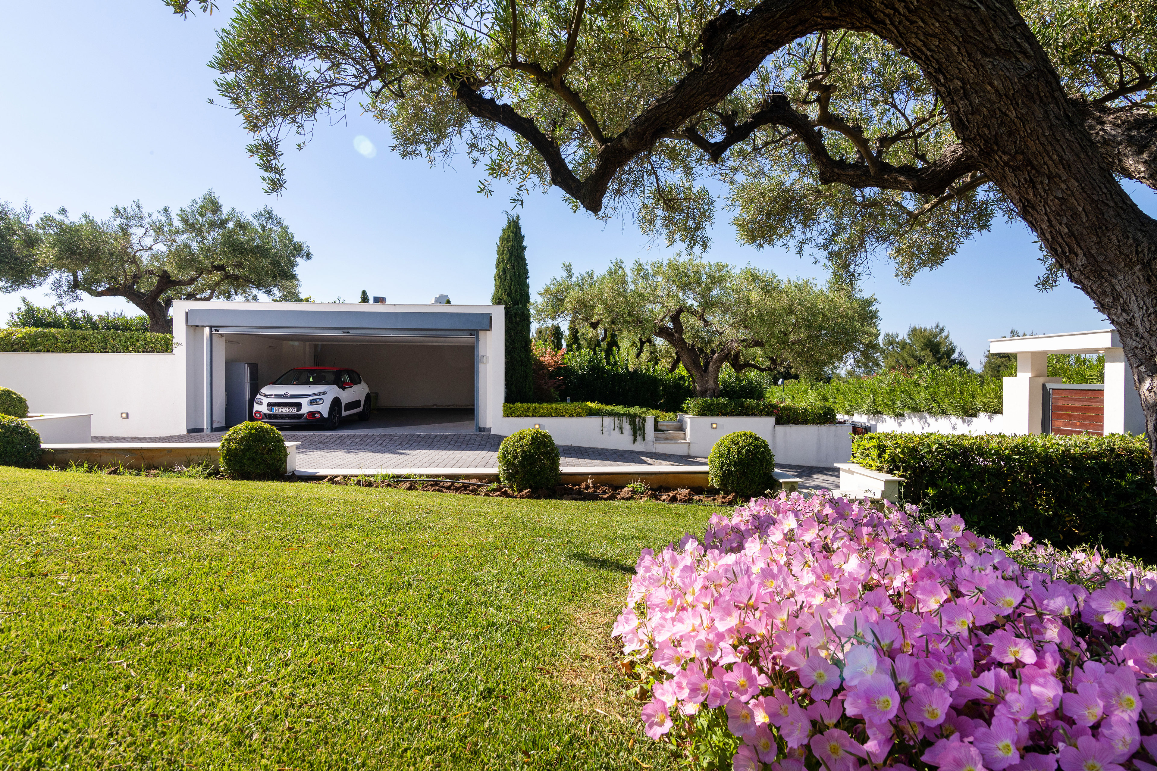 Exterior shots of olive hills, Chalkidiki