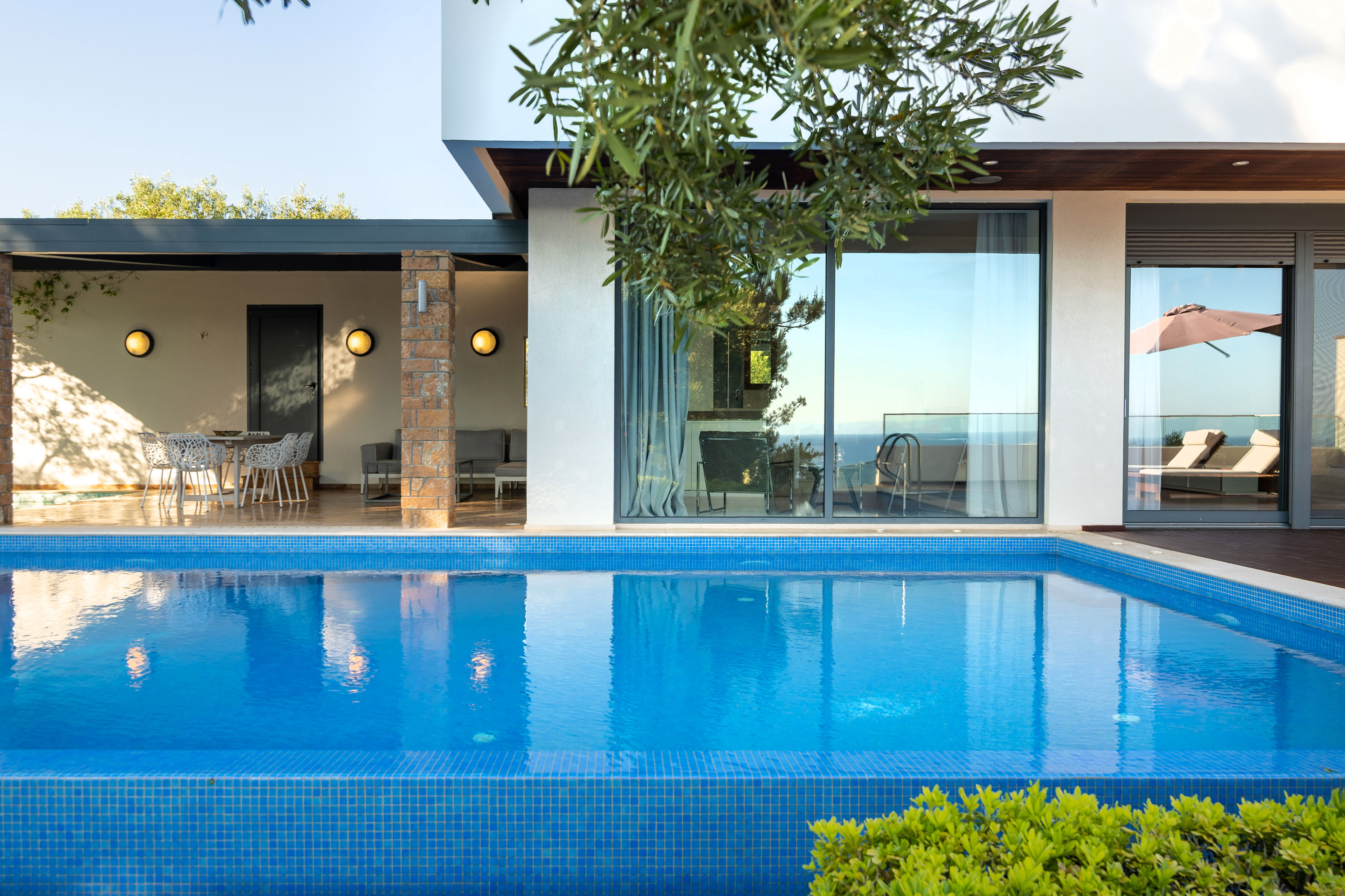 Exterior shots of olive hills, Chalkidiki