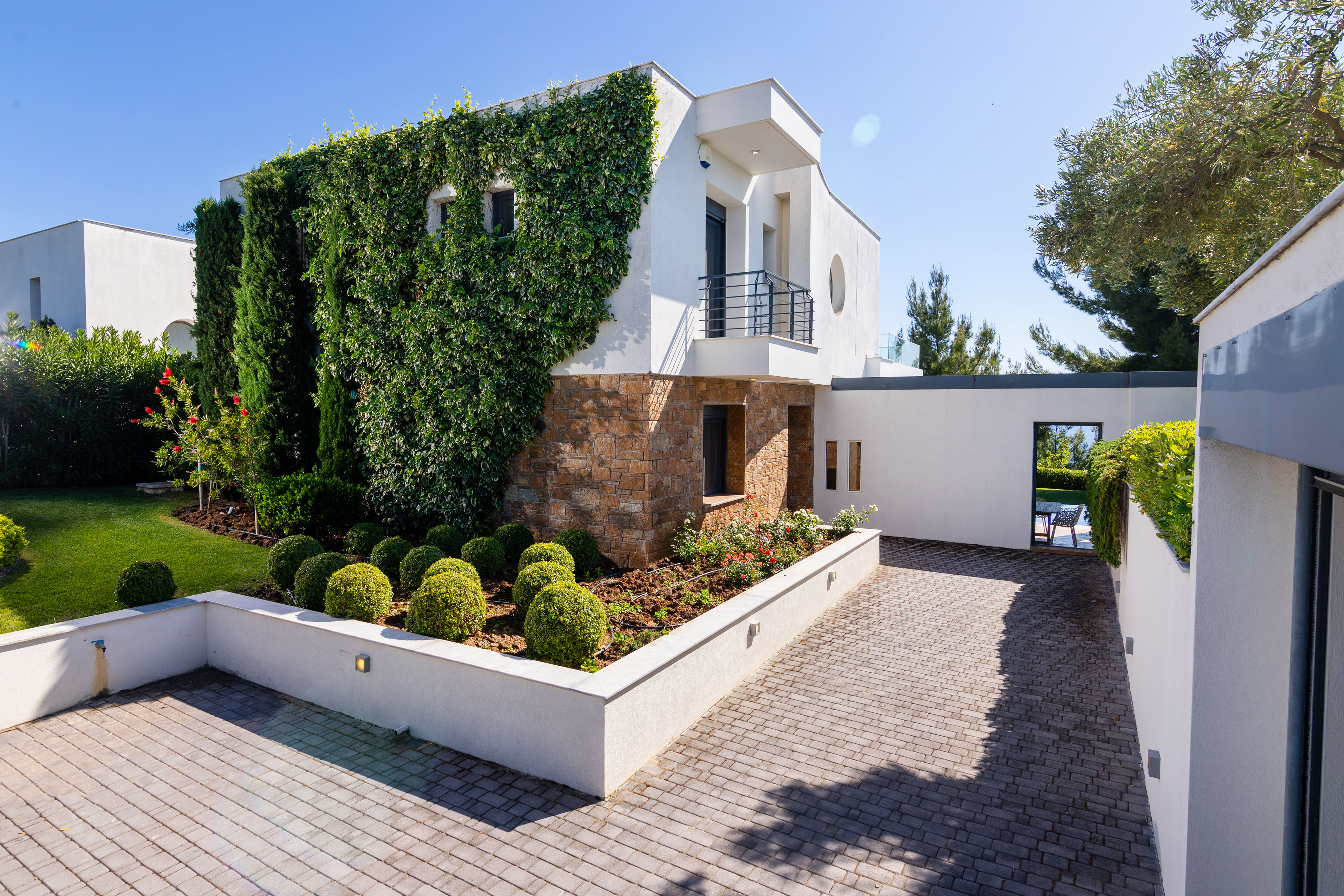 Exterior shots of olive hills, Chalkidiki