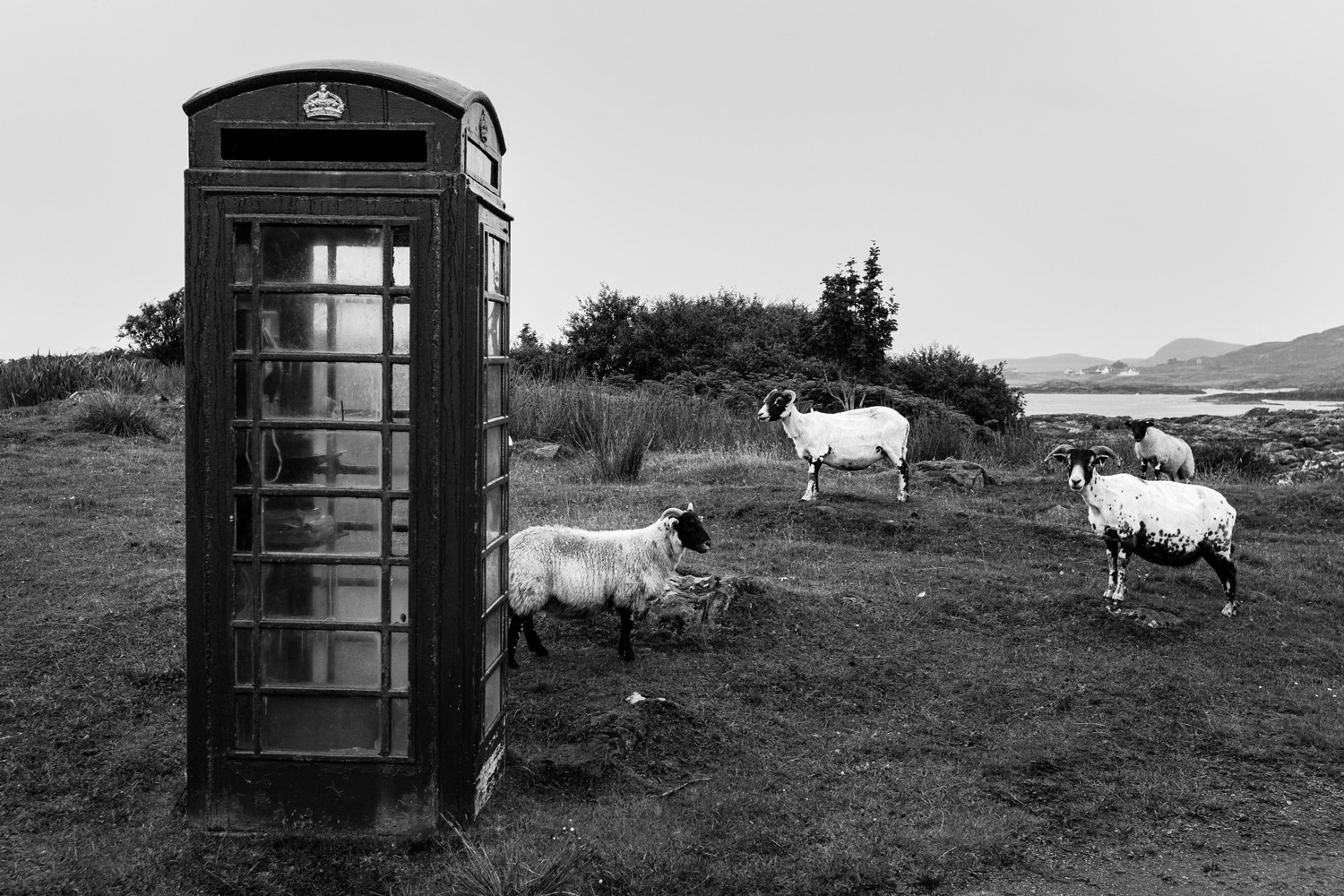 Velká Británie / 2016
