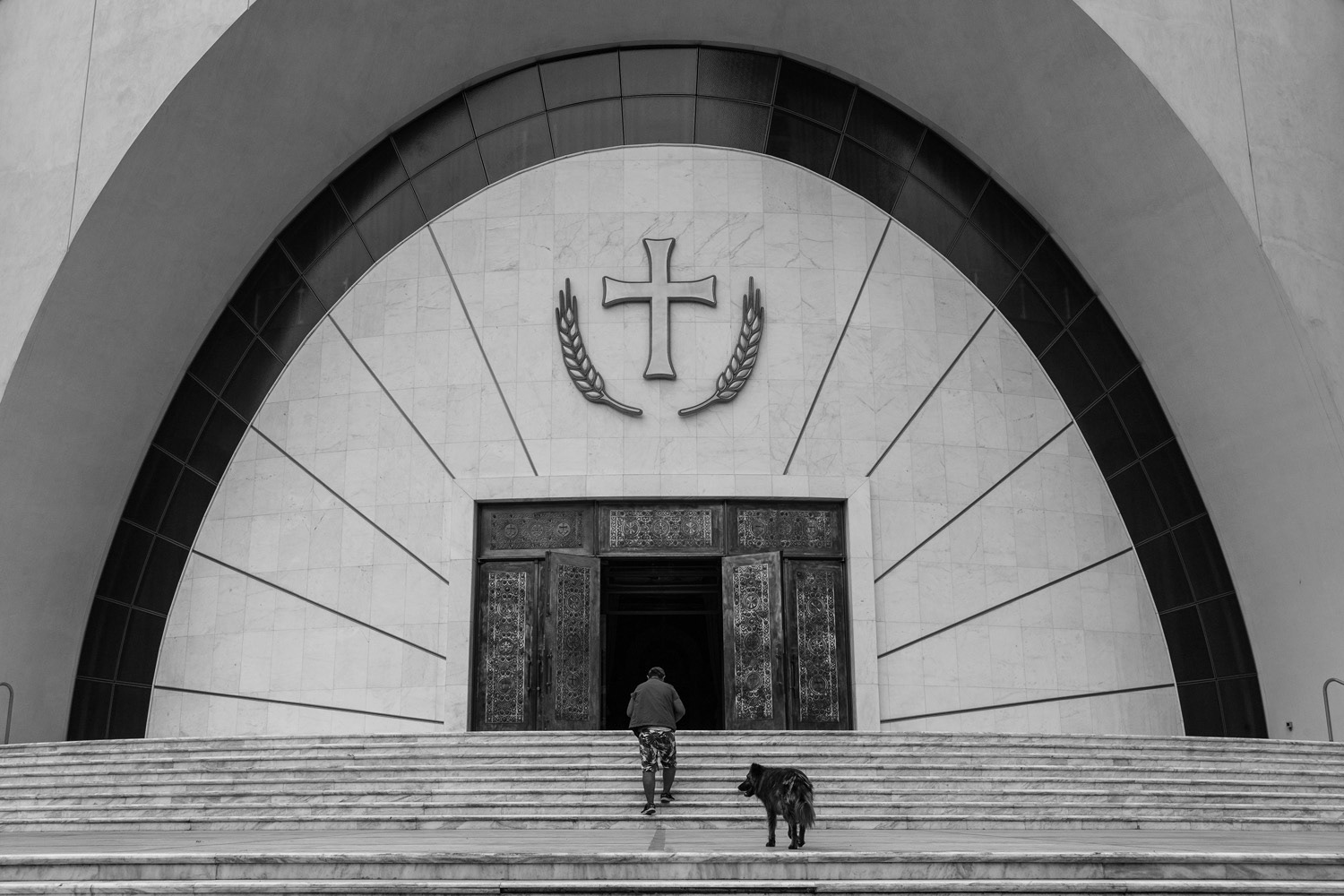 Albánie / 2017