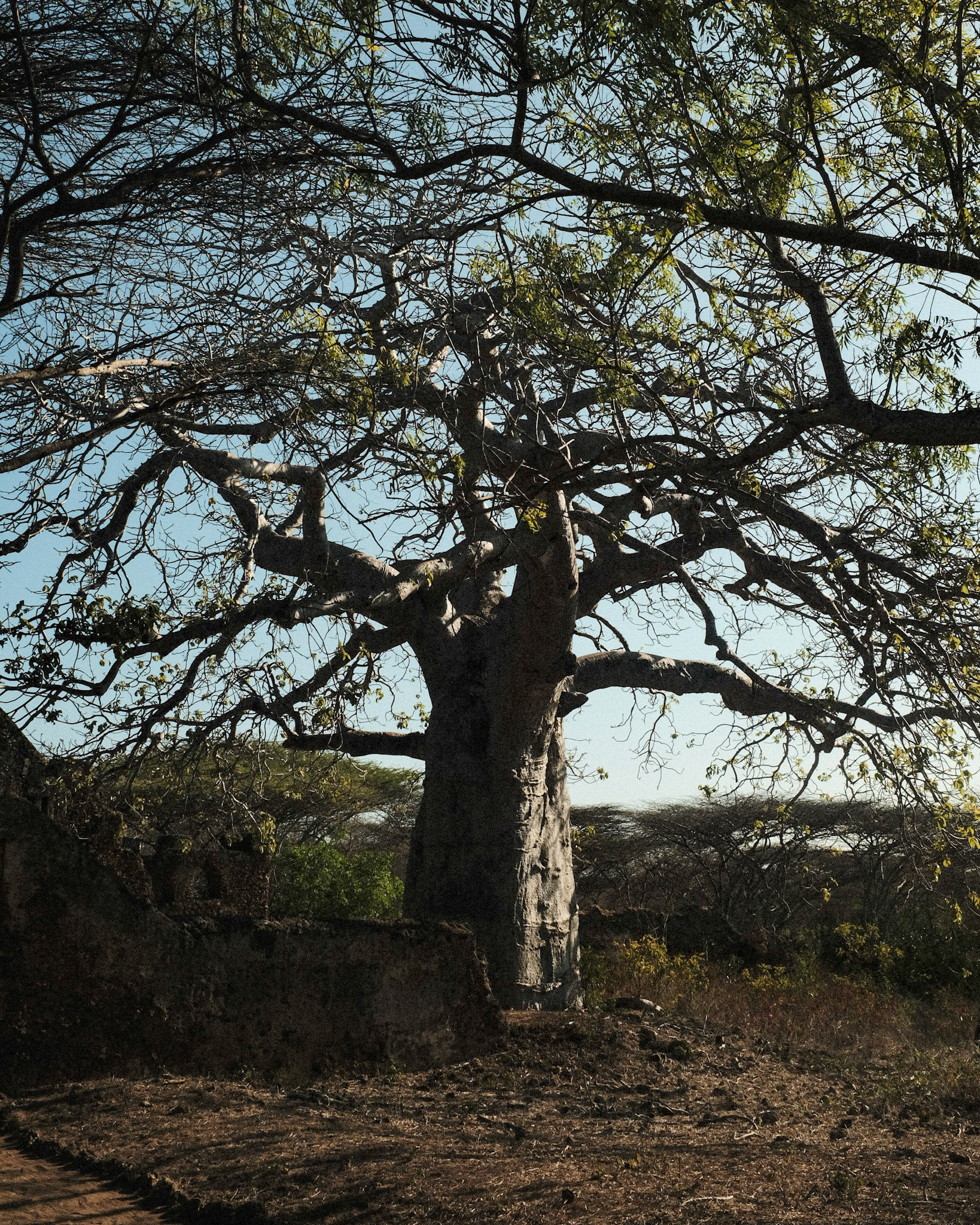 Lamu, Kenya, 2021.