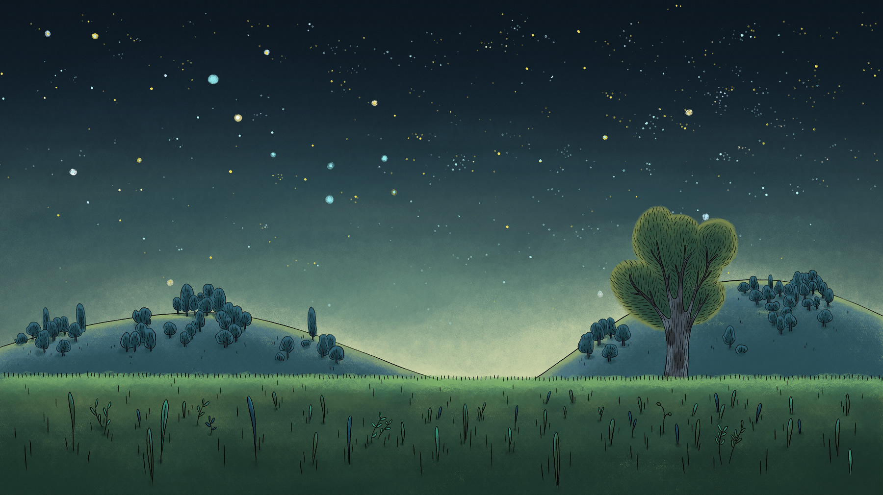Décor de forêt de nuit pour Pompon Ours