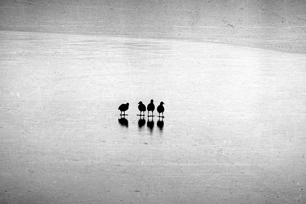 serbian-documentary-photographer