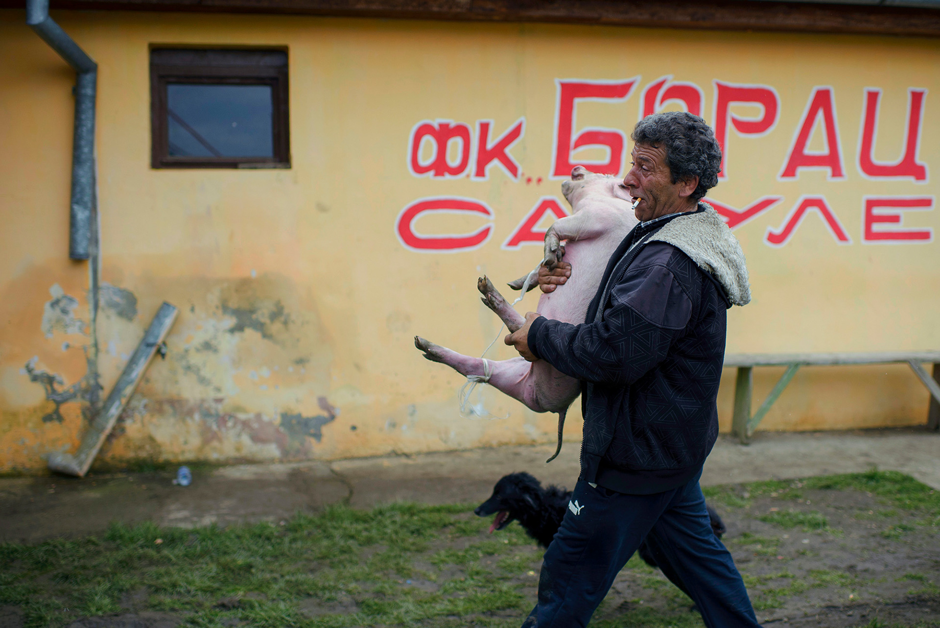 Sakule, Serbia, 30.03.2013