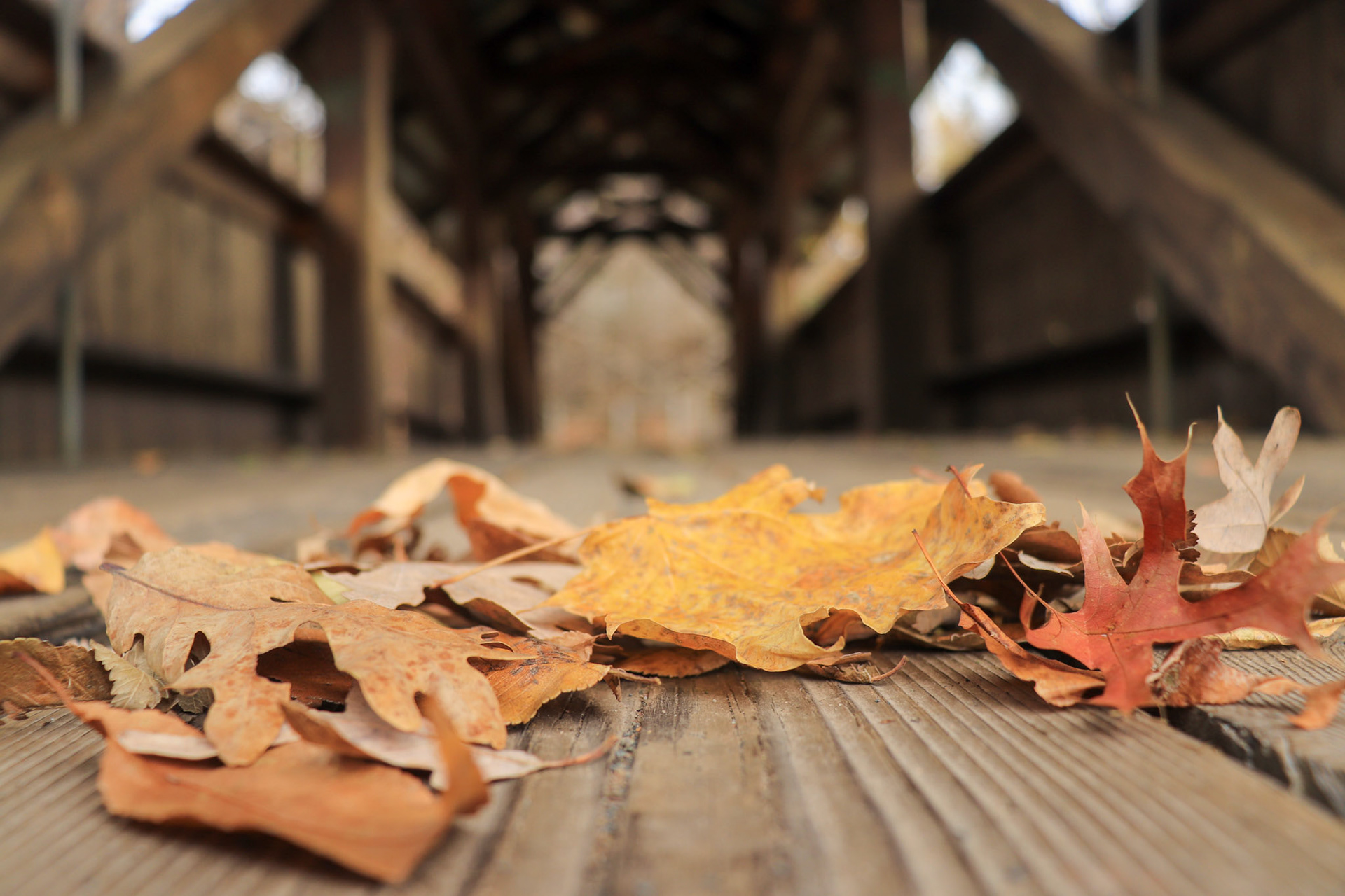 Taylors Falls, Minnesota