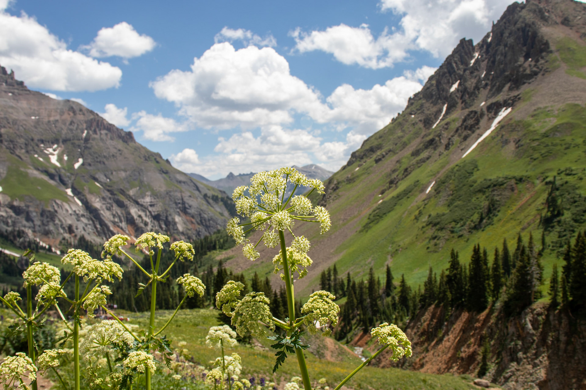 Ouray, Colorado