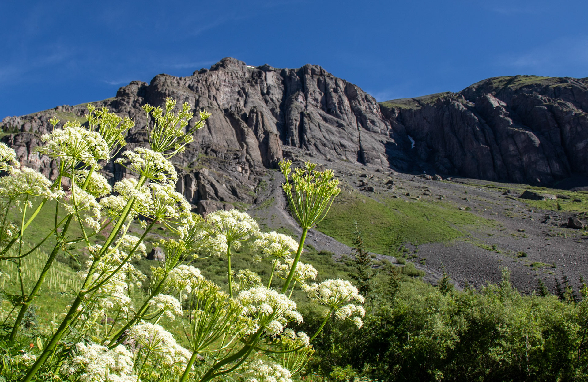 Ice Lakes Trail in Silverton, Colorado