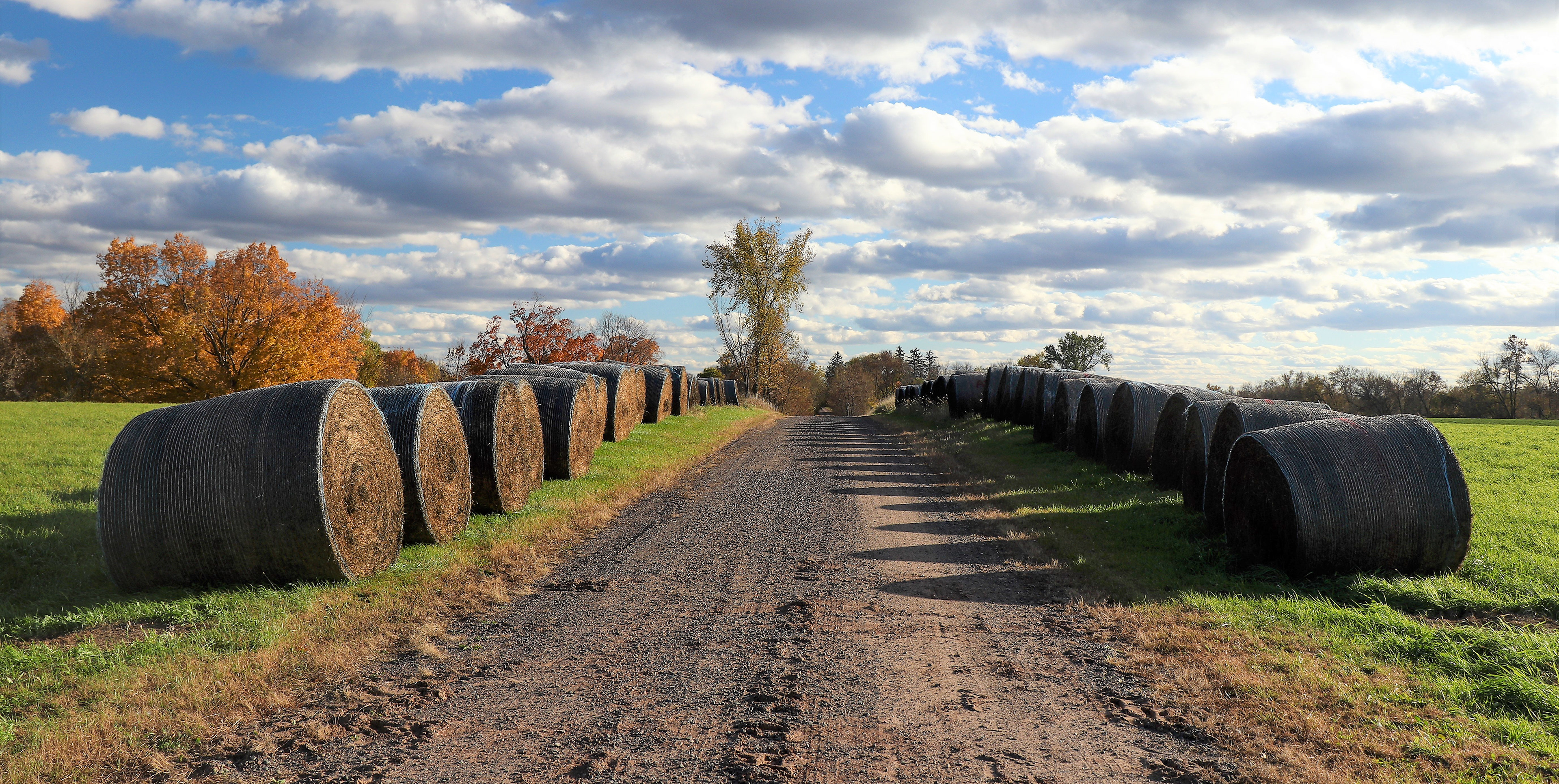 Polk County, Wisconsin