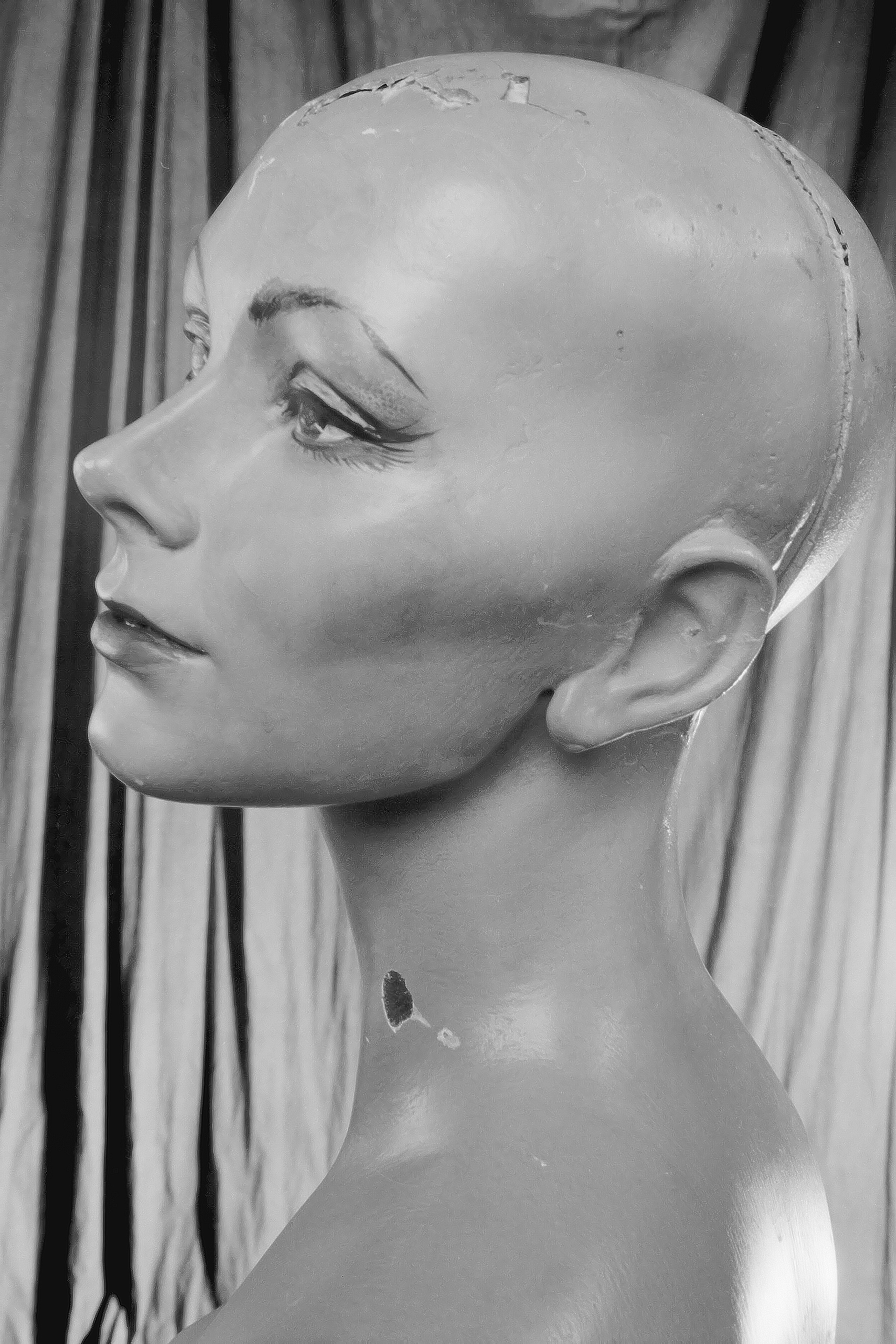 portrait of a mannequin