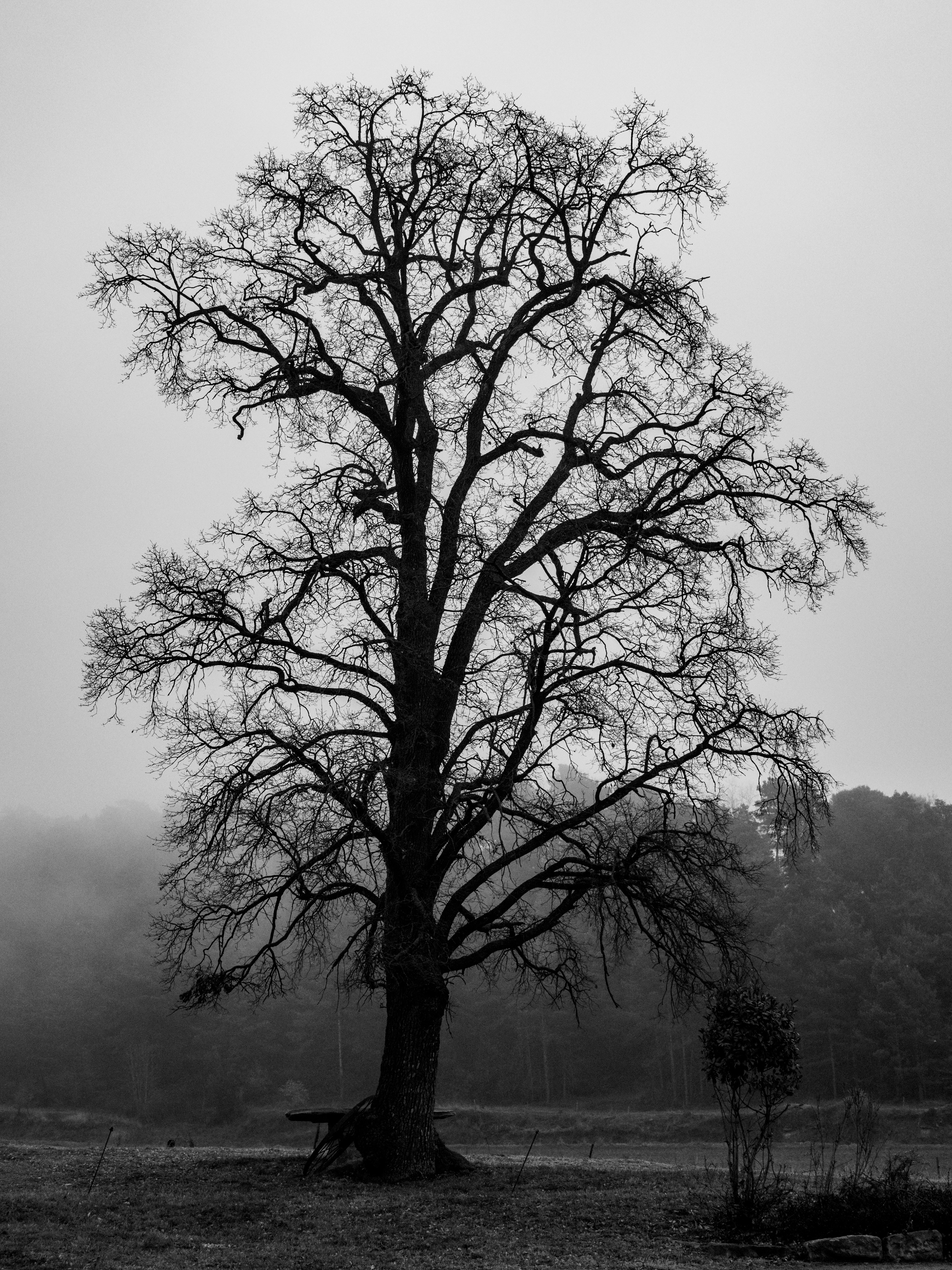 Lluçanès, Catalonia, Spain