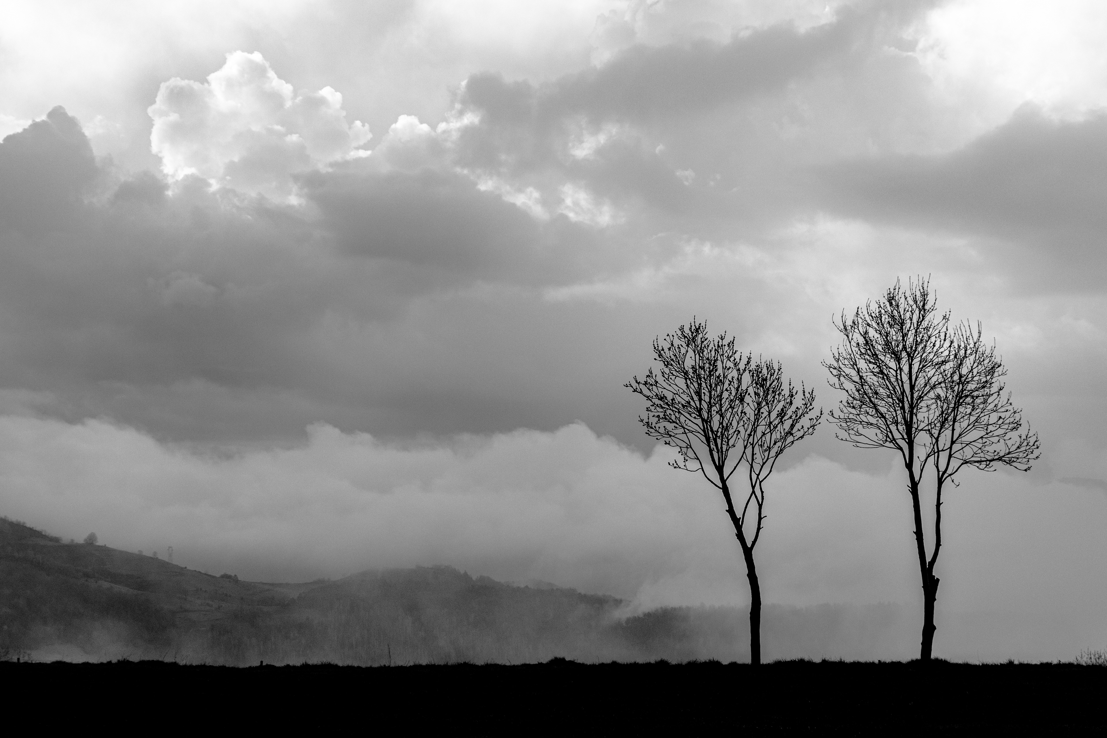 Molló, Catalonia, Spain