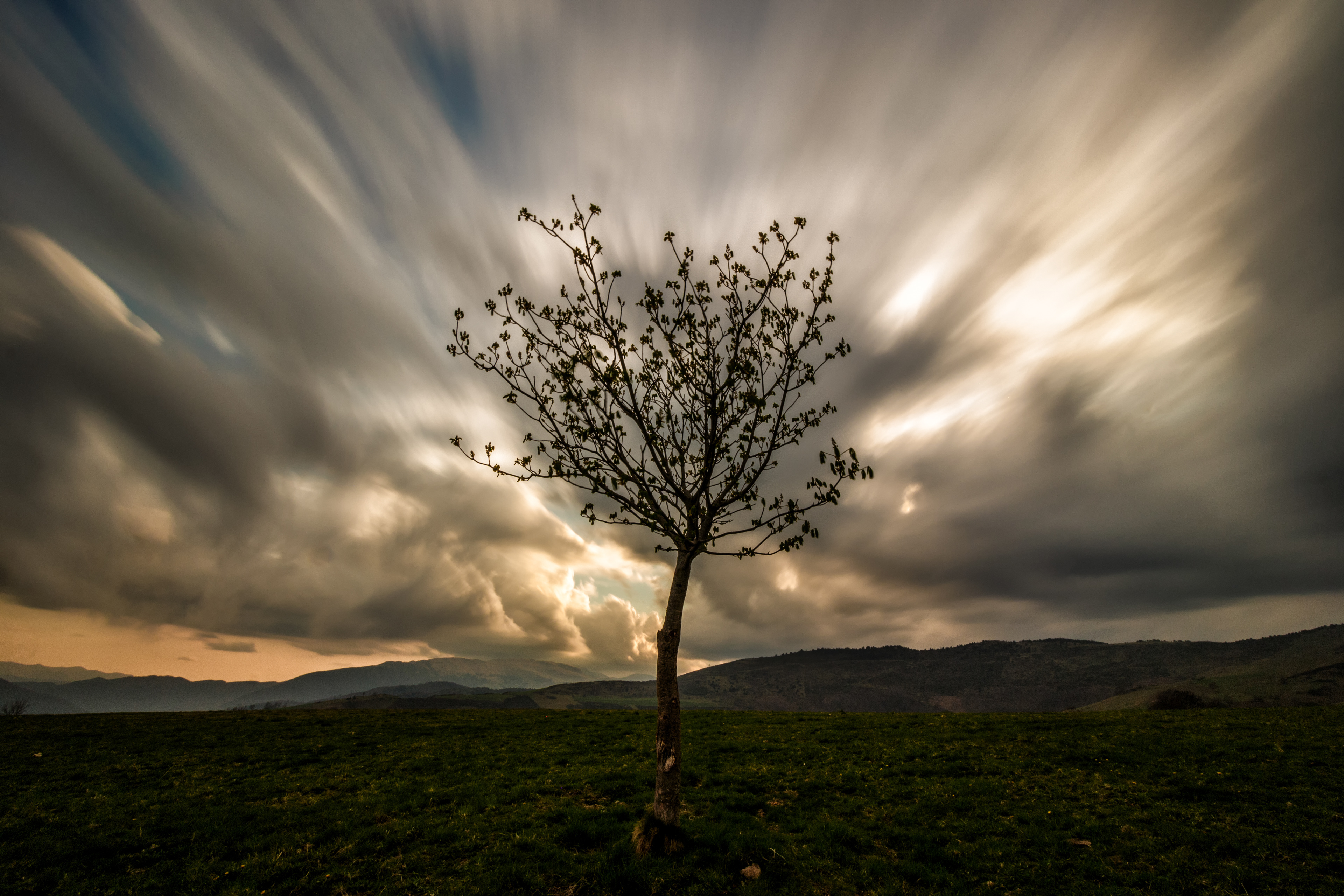 Molló, Catalonia, Spain