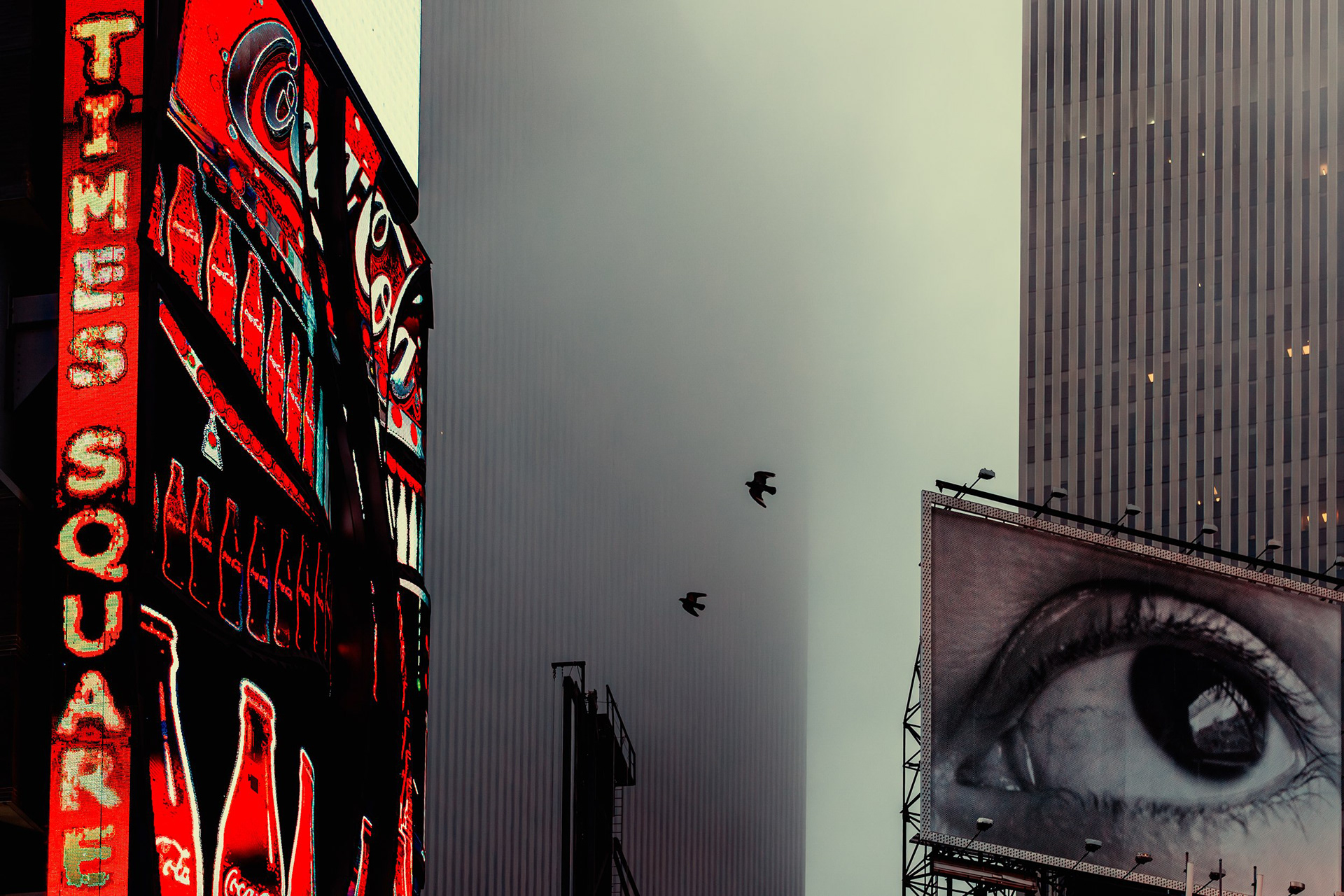 New York | 2013