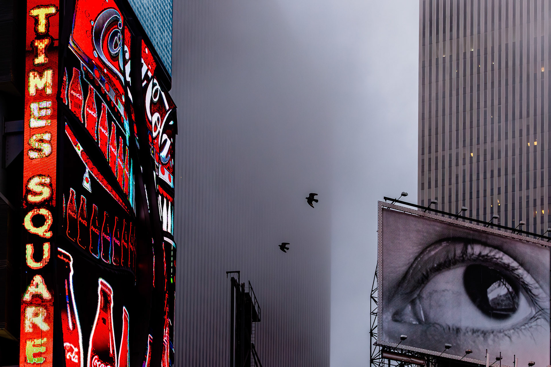 New York | 2013