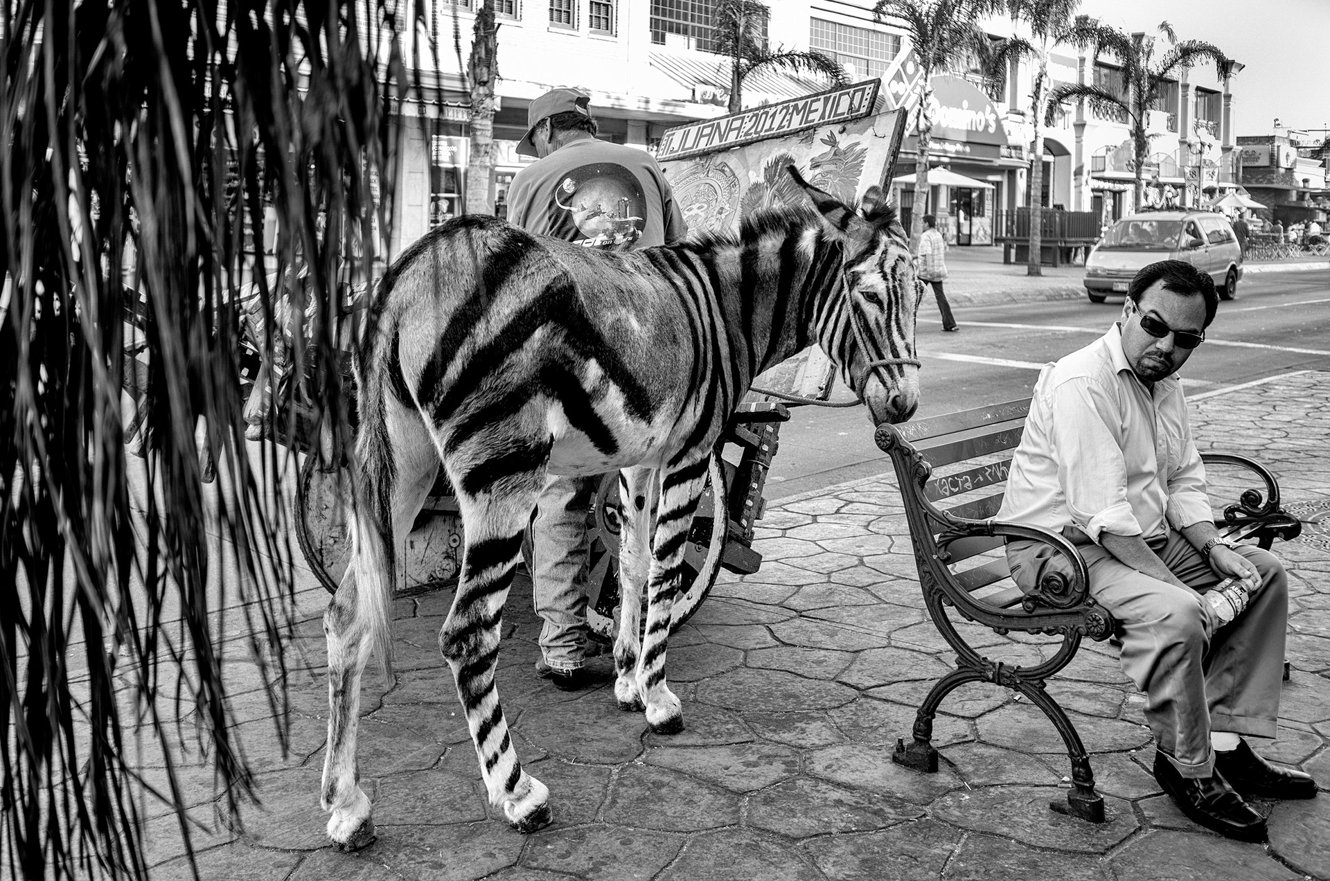 Tijuana | 2012