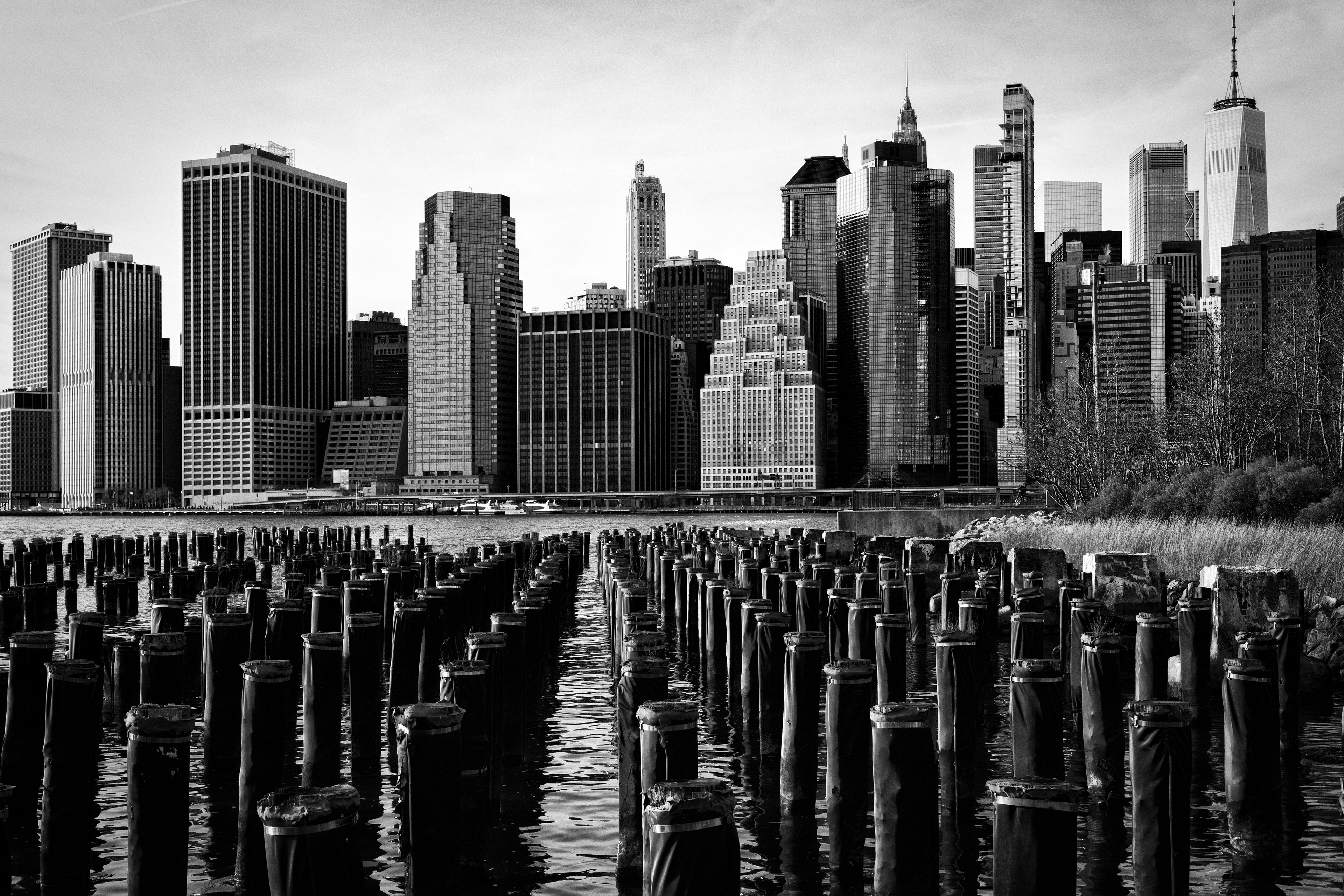 New York | 2019