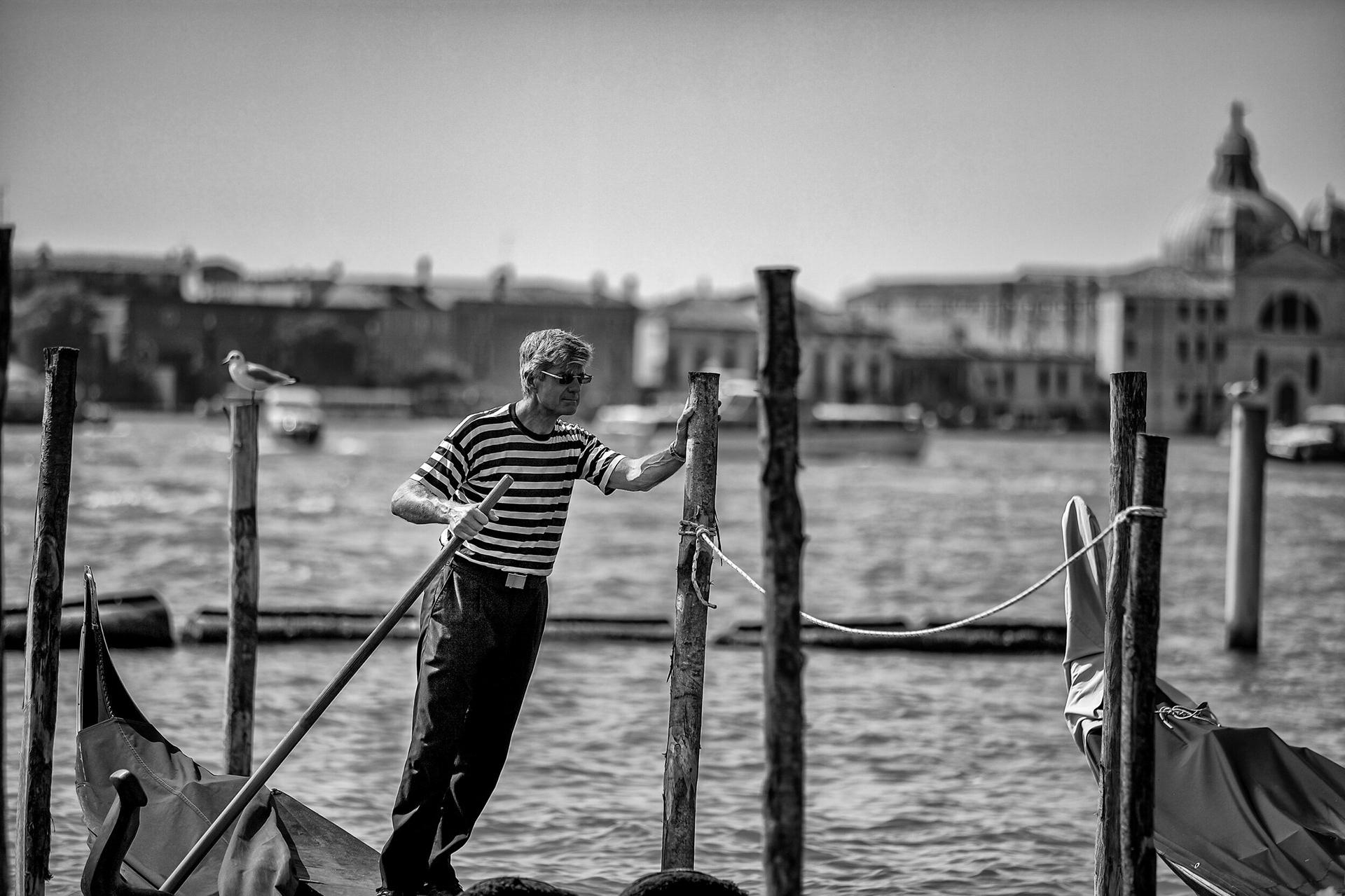 Venice | 2013