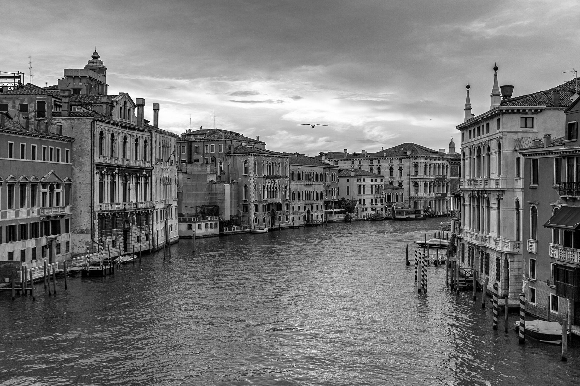 Venice | 2012