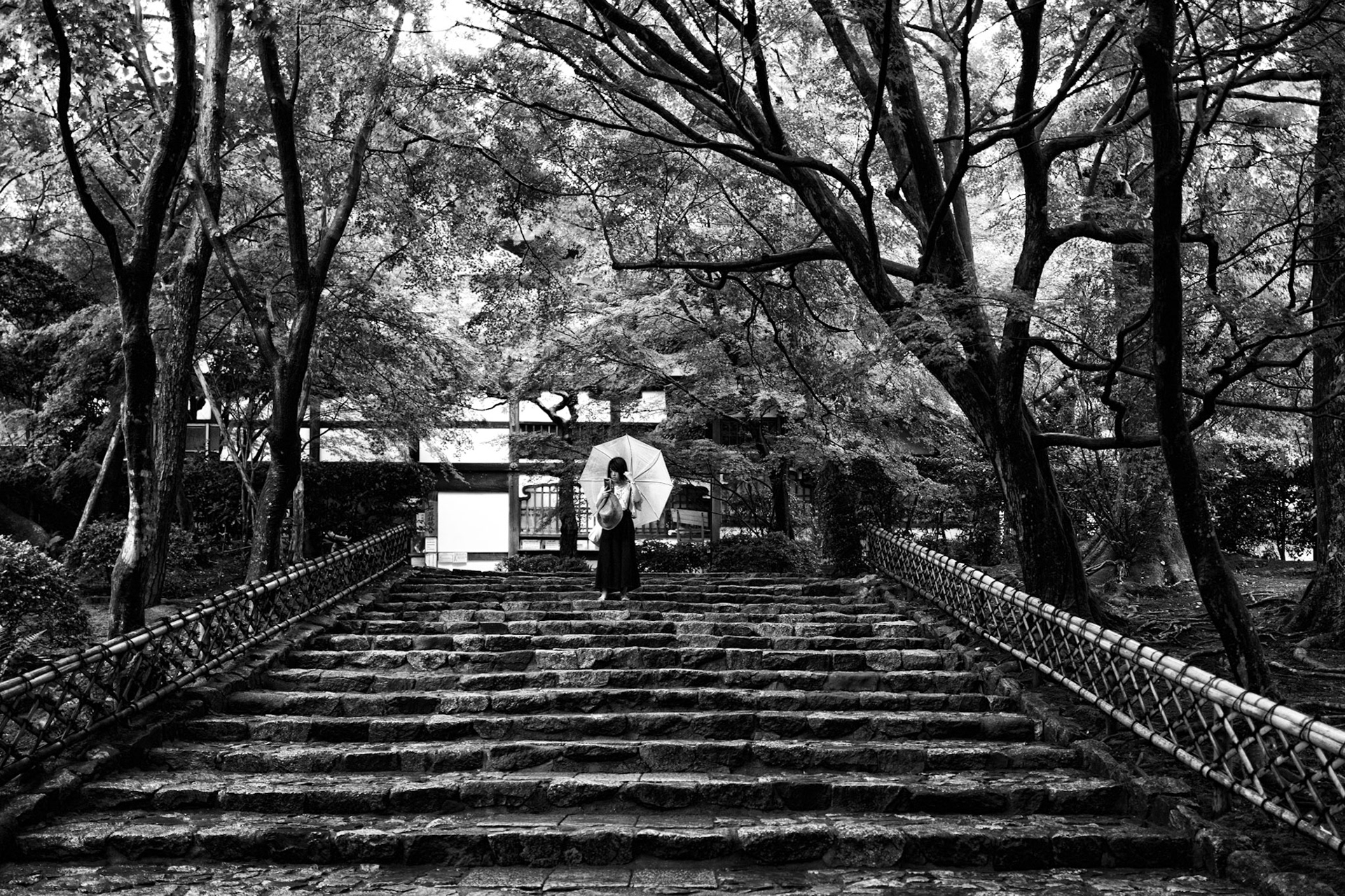 Japan | 2019