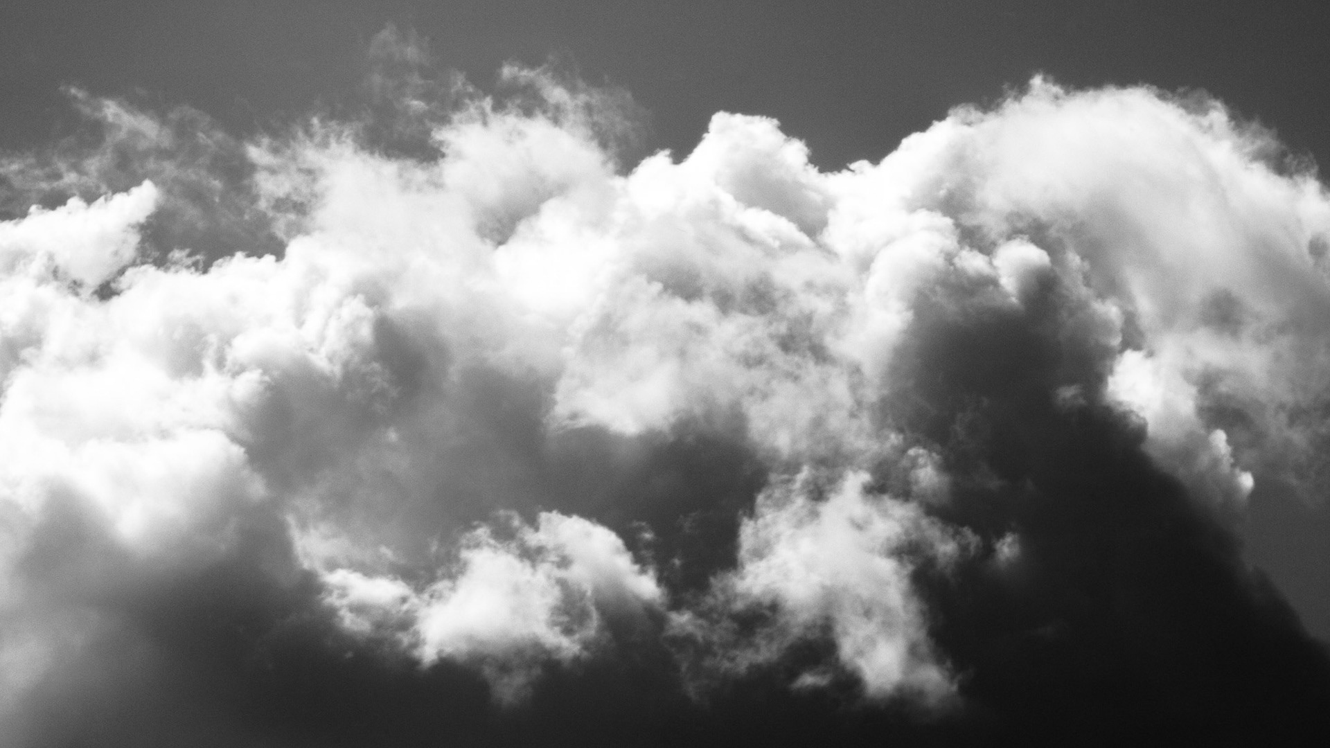 So Above - 2021 Photo Collection