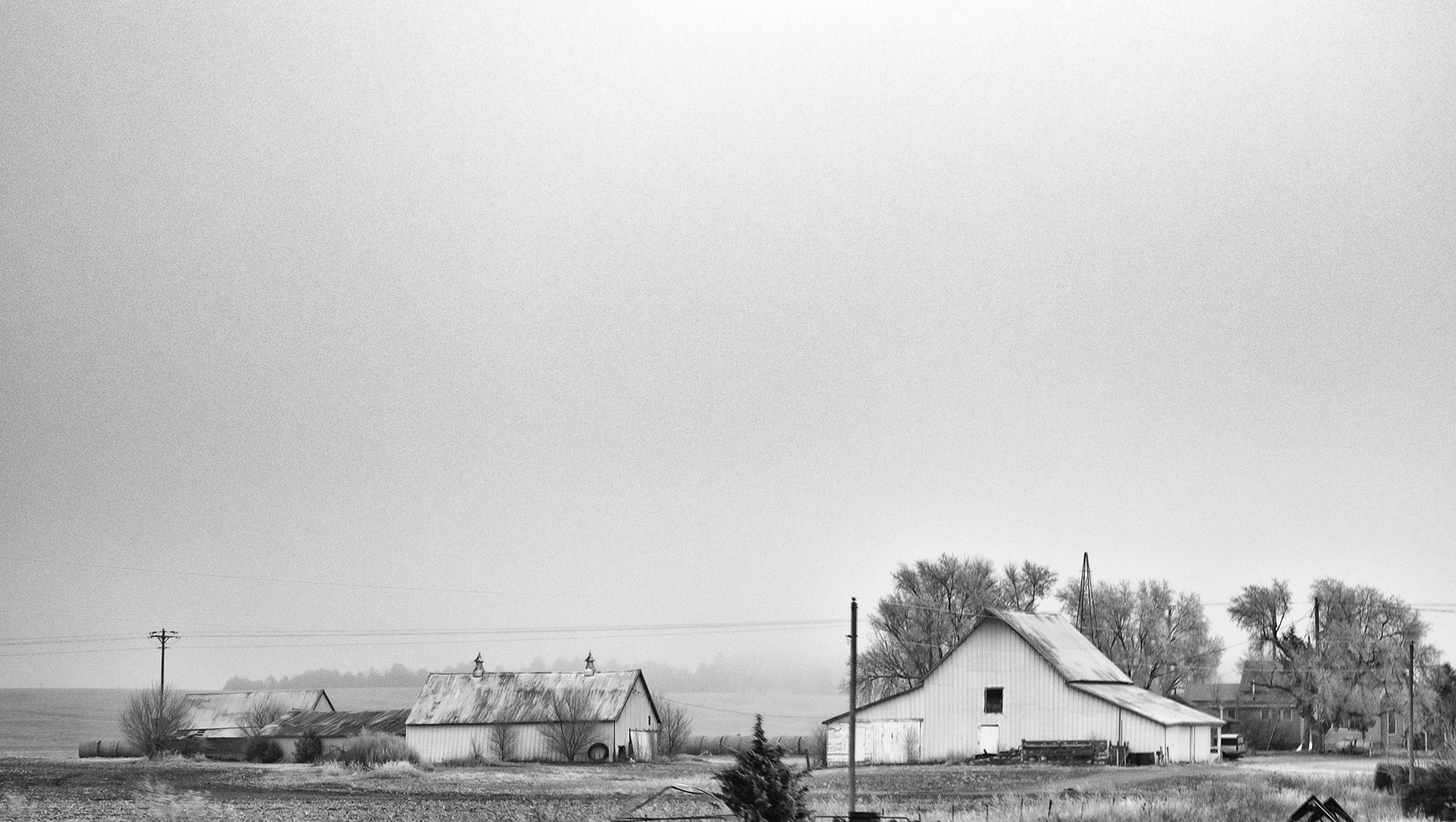 High-Key Farm