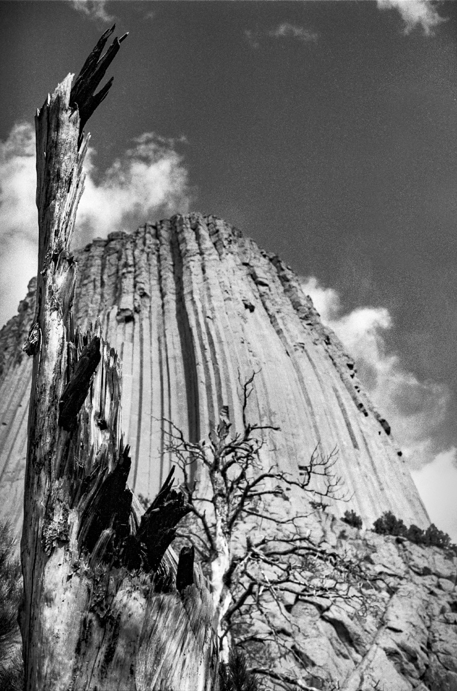 Devil's Tower