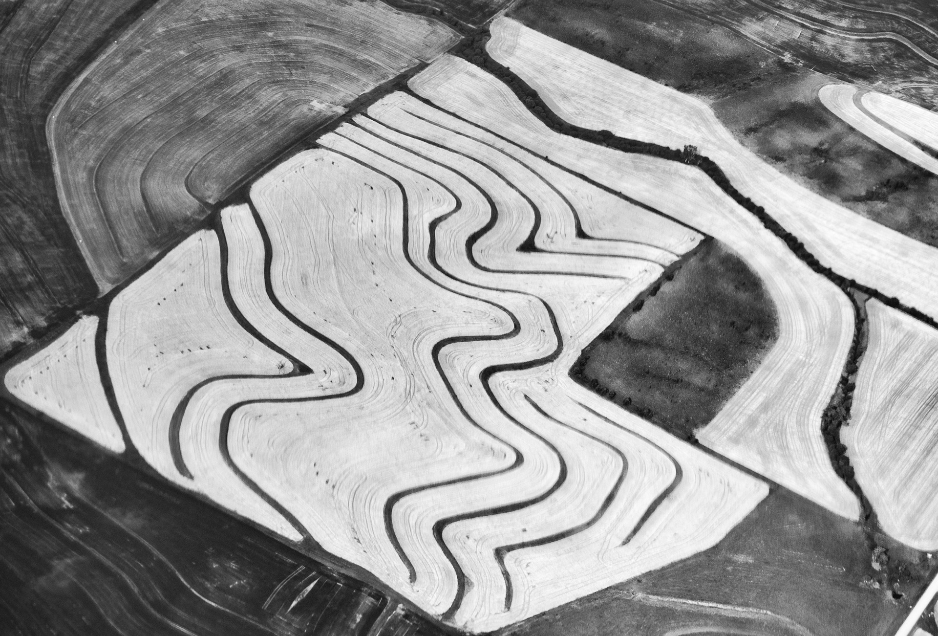 Topographical Modern Art II