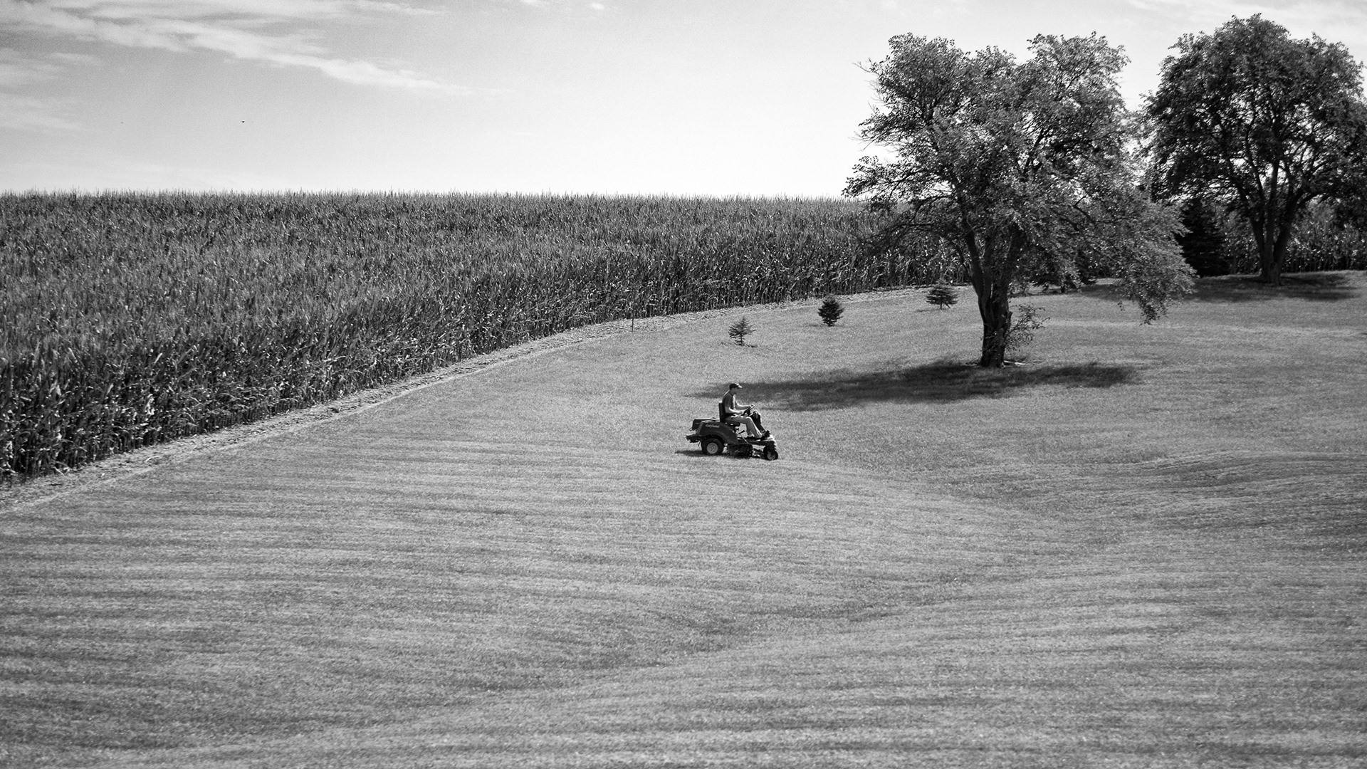 Mowin' The Lawn