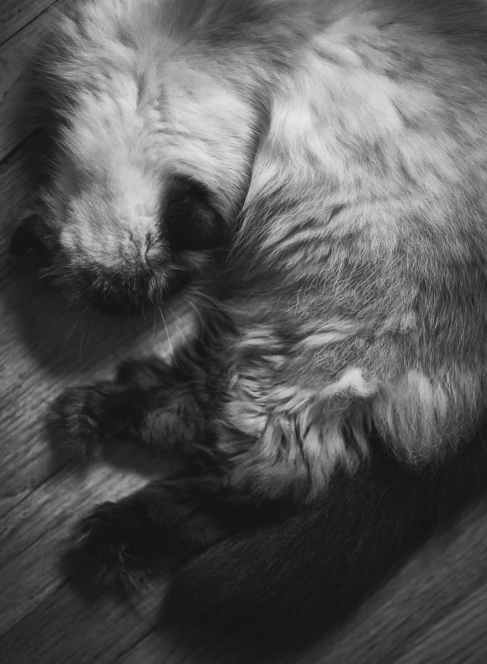 Li'l Girl Sleeping
